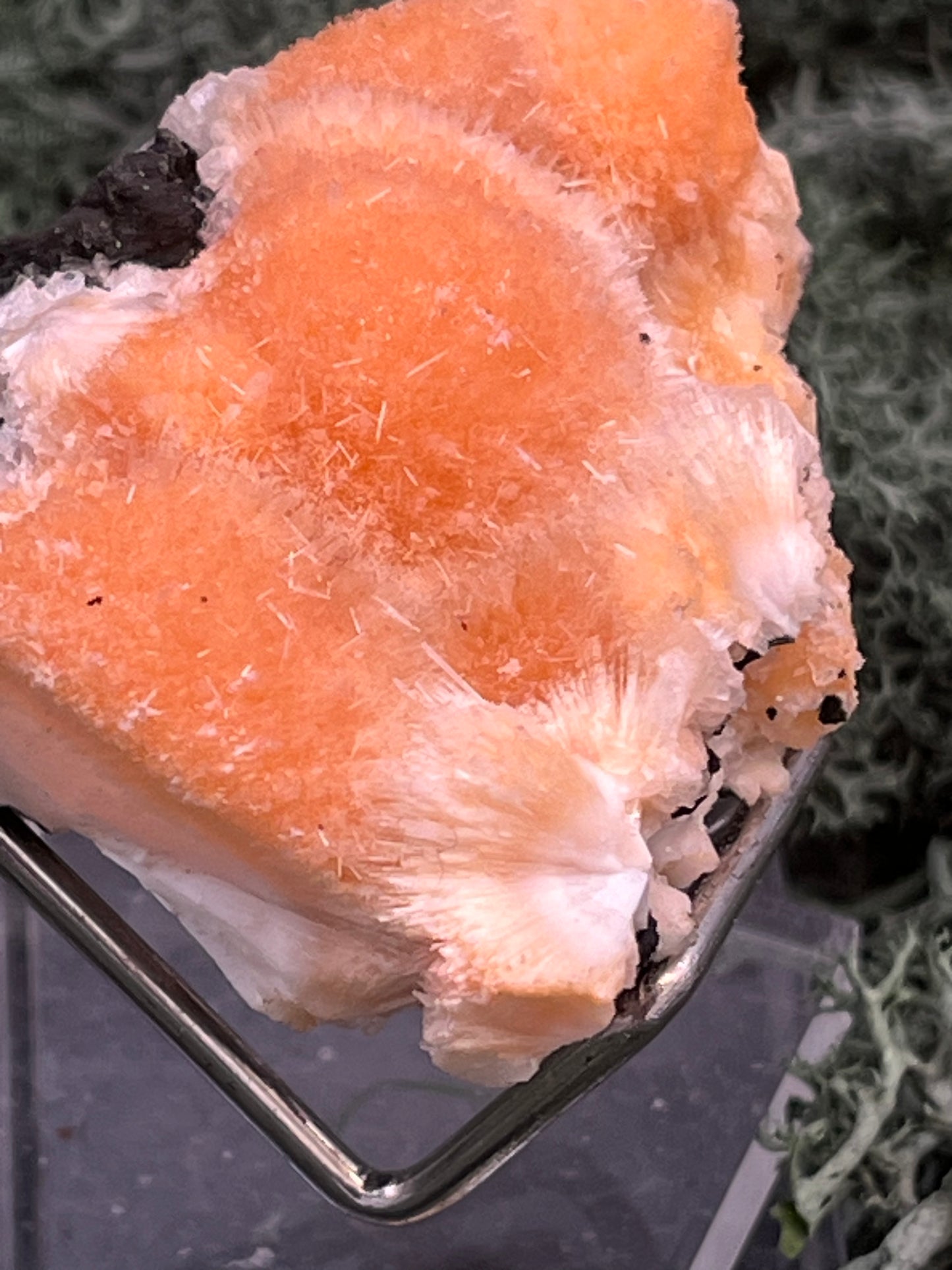 Thomsonit aus Indien (52g) - Stufe - leuchtend orange Farbe, schöne mehrere Kugelbildungen auf Muttergestein - crystal paradise