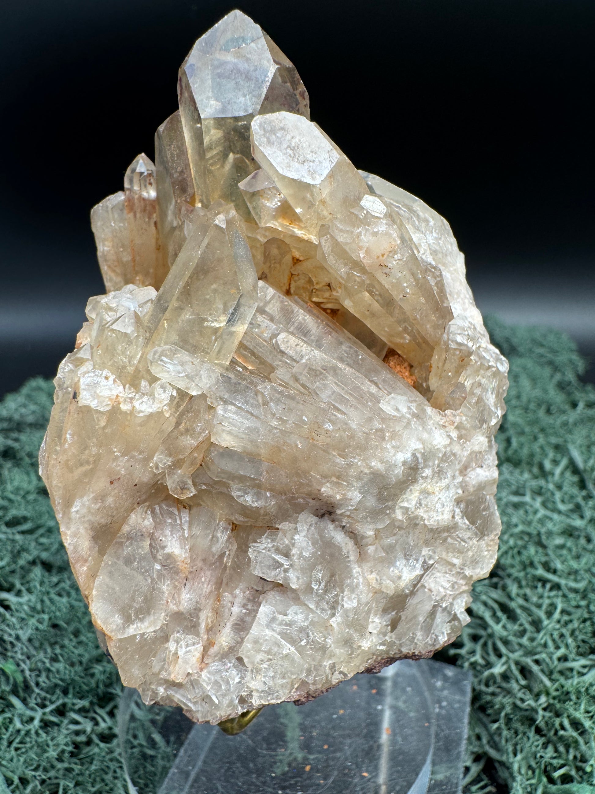 Citrin Handstufe aus Kunduluni, Kongo (267g) - schöne helle Kristallspitzen - crystal paradise