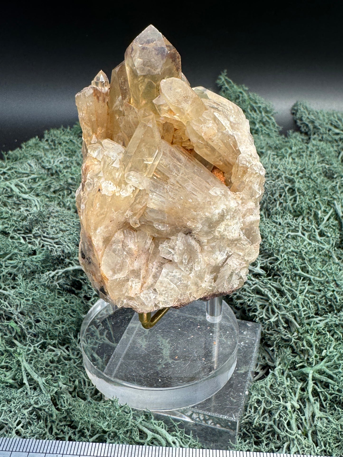 Citrin Handstufe aus Kunduluni, Kongo (267g) - schöne helle Kristallspitzen - crystal paradise