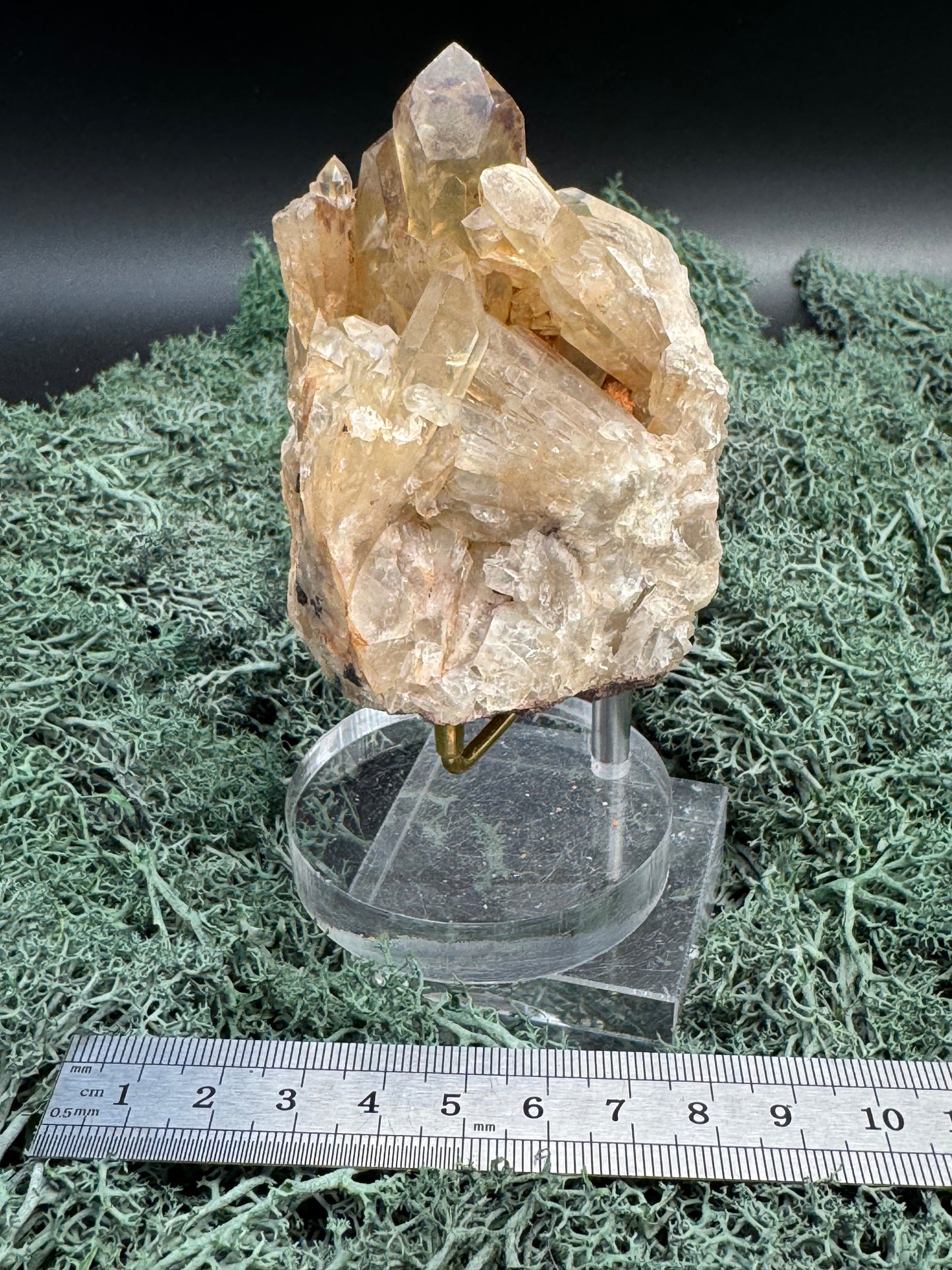 Citrin Handstufe aus Kunduluni, Kongo (267g) - schöne helle Kristallspitzen - crystal paradise