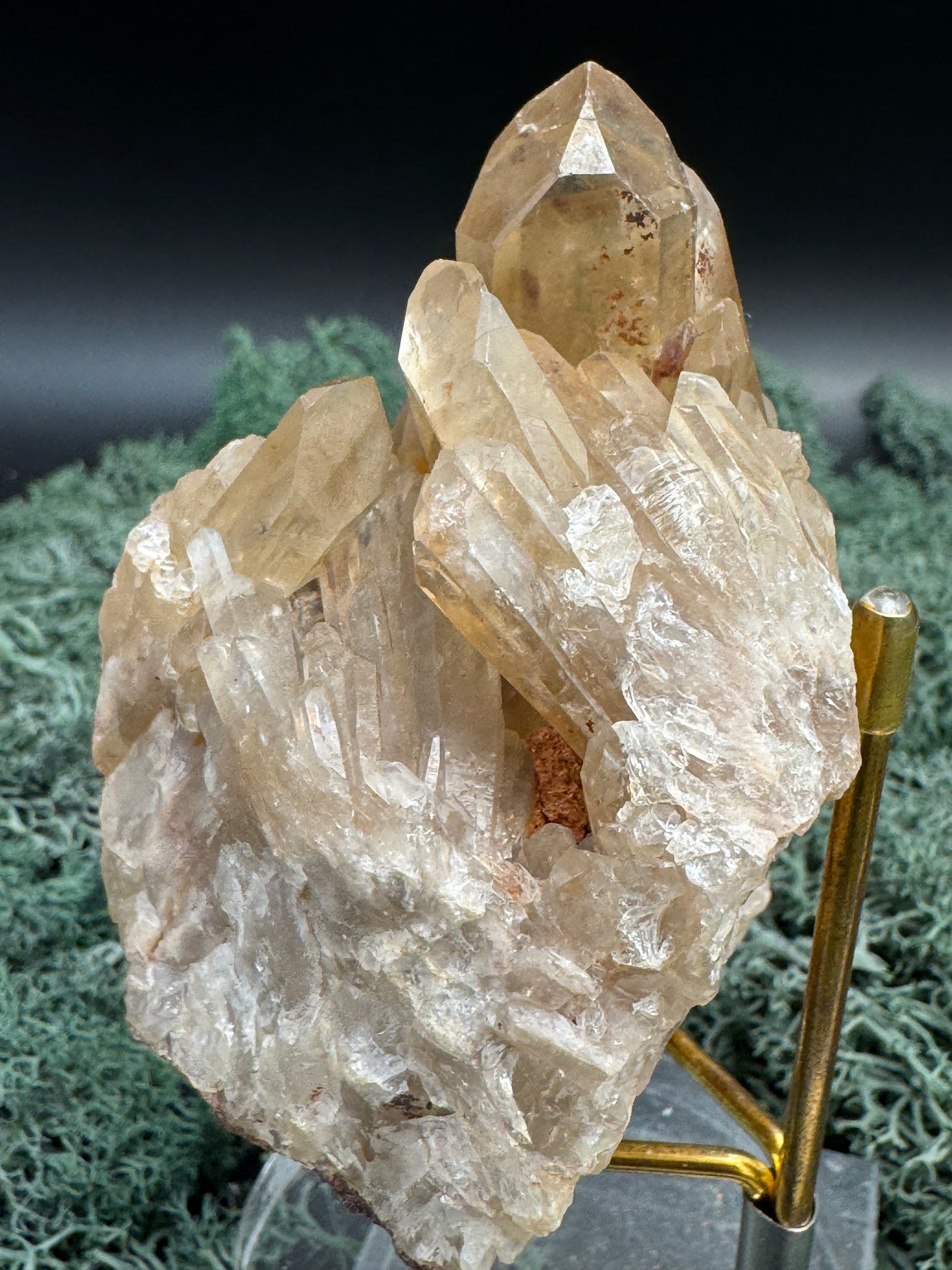 Citrin Handstufe aus Kunduluni, Kongo (267g) - schöne helle Kristallspitzen - crystal paradise