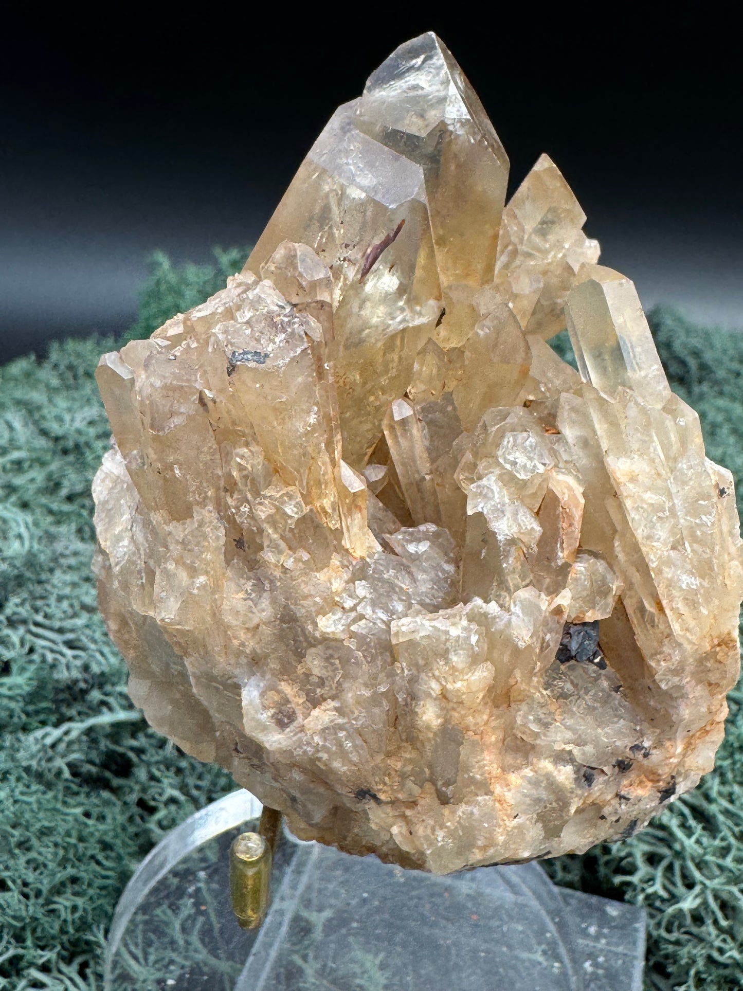 Citrin Handstufe aus Kunduluni, Kongo (267g) - schöne helle Kristallspitzen - crystal paradise