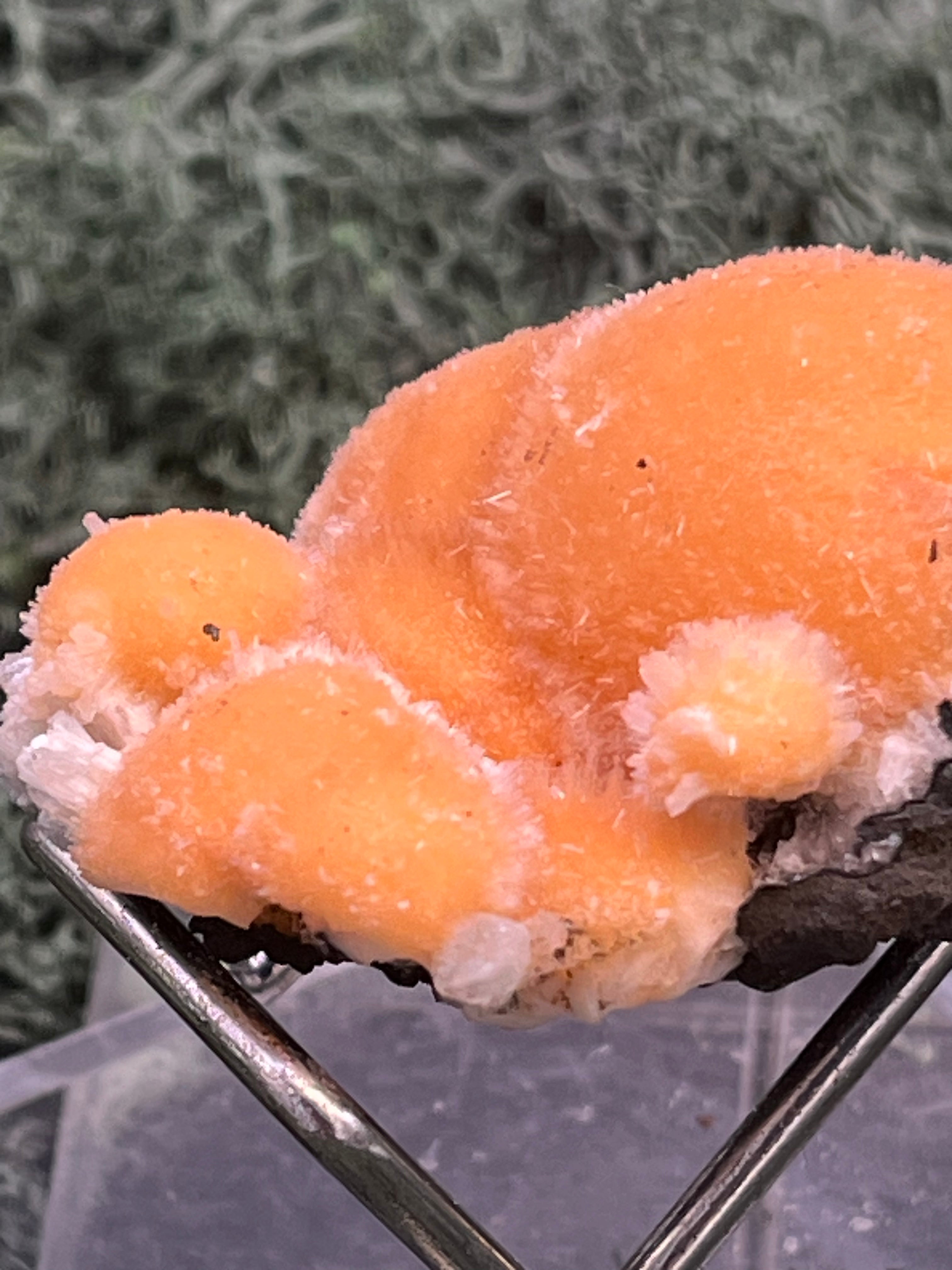 Thomsonit aus Indien (31g) - Stufe - leuchtend orange Farbe, schöne mehrere Kugelbildungen auf Muttergestein - crystal paradise