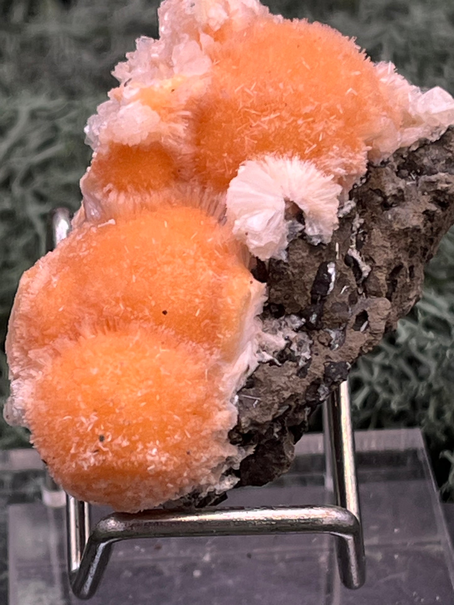 Thomsonit aus Indien (50g) - Stufe - leuchtend orange Farbe, schöne mehrere Kugelbildungen auf Muttergestein - crystal paradise