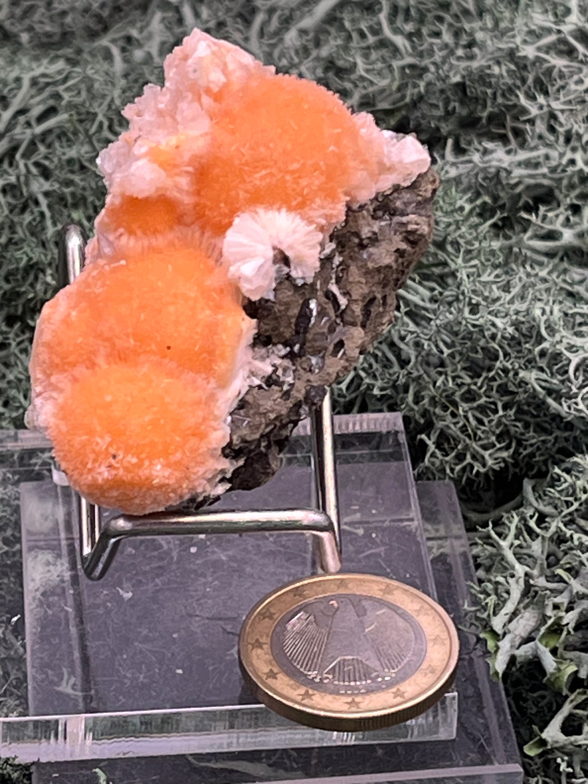 Thomsonit aus Indien (50g) - Stufe - leuchtend orange Farbe, schöne mehrere Kugelbildungen auf Muttergestein - crystal paradise