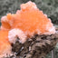 Thomsonit aus Indien (50g) - Stufe - leuchtend orange Farbe, schöne mehrere Kugelbildungen auf Muttergestein - crystal paradise