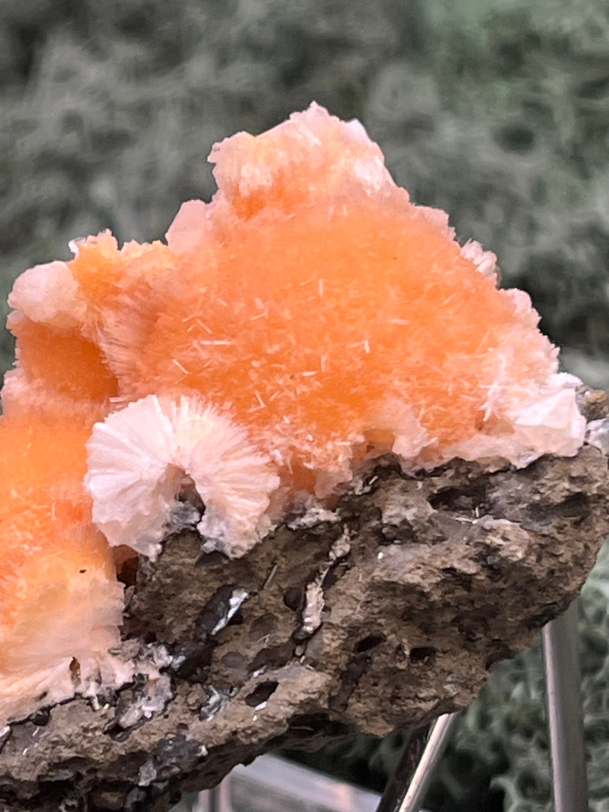 Thomsonit aus Indien (50g) - Stufe - leuchtend orange Farbe, schöne mehrere Kugelbildungen auf Muttergestein - crystal paradise