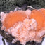 Thomsonit aus Indien (50g) - Stufe - leuchtend orange Farbe, schöne mehrere Kugelbildungen auf Muttergestein - crystal paradise