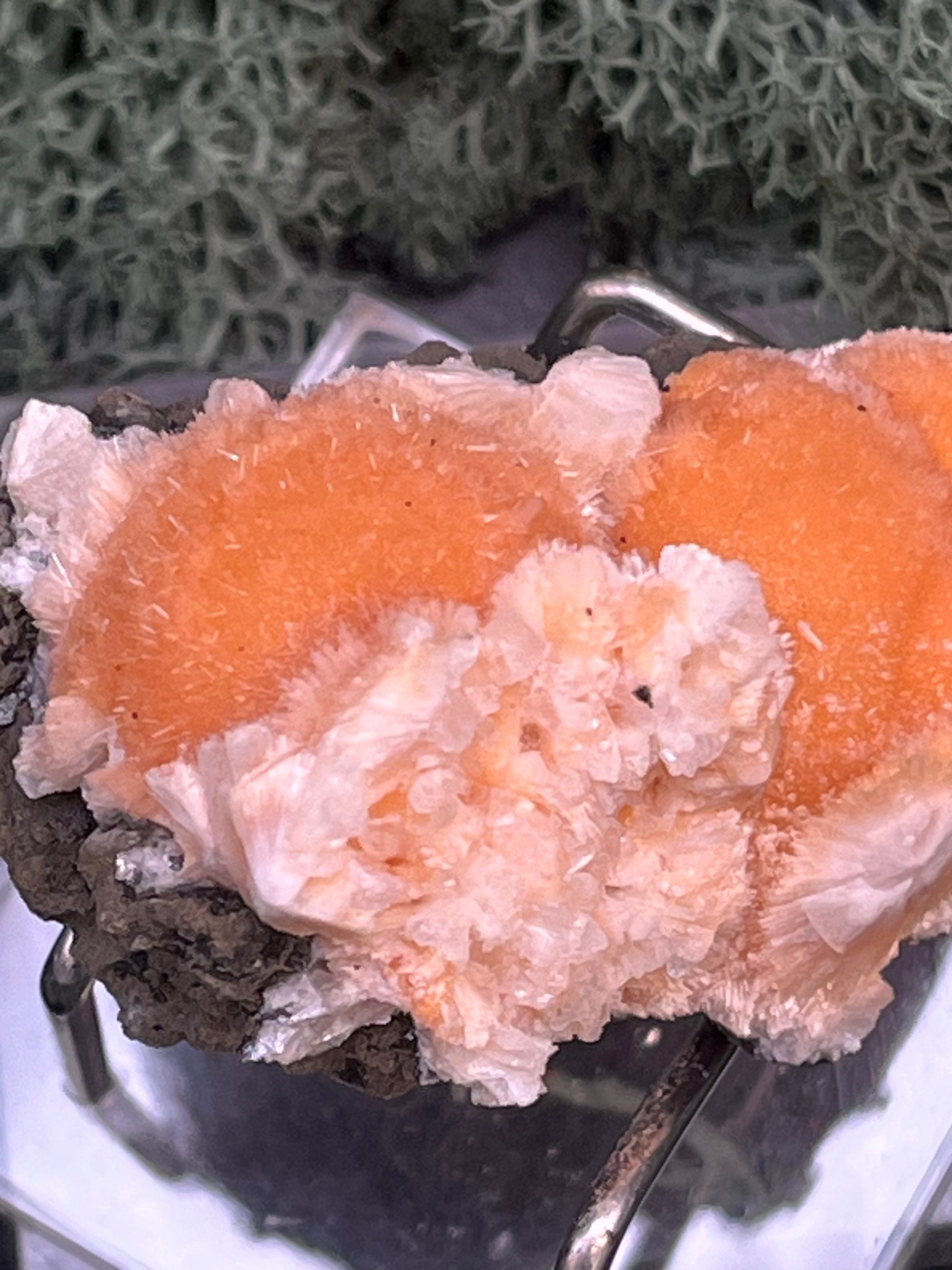 Thomsonit aus Indien (50g) - Stufe - leuchtend orange Farbe, schöne mehrere Kugelbildungen auf Muttergestein - crystal paradise