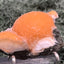 Thomsonit aus Indien (45g) - Stufe - leuchtend orange Farbe, schöne mehrere Kugelbildungen auf Muttergestein - crystal paradise