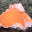 Thomsonit aus Indien (52g) - Stufe - leuchtend orange Farbe, schöne Kugelbildung auf Muttergestein - crystal paradise