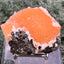 Thomsonit aus Indien (55g) - Stufe - leuchtend orange Farbe, schöne Kugelbildung auf Muttergestein - crystal paradise