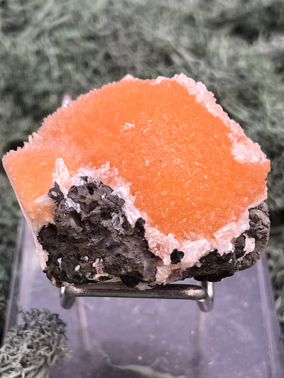 Thomsonit aus Indien (55g) - Stufe - leuchtend orange Farbe, schöne Kugelbildung auf Muttergestein - crystal paradise