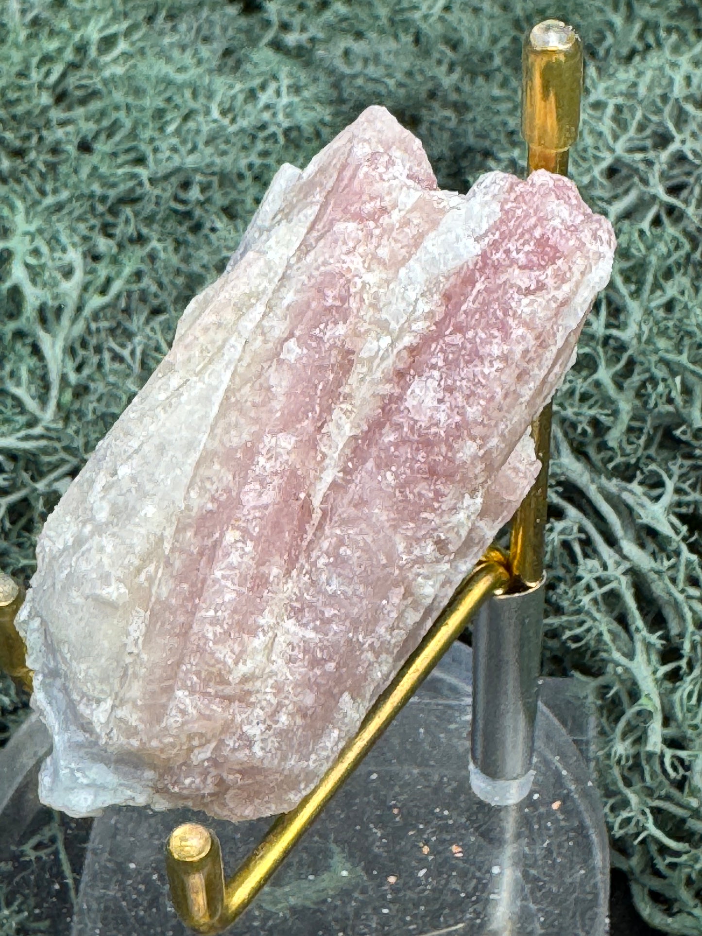 Rubelit (Turmalingruppe) Stufe aus Brasilien (70g) - crystal paradise