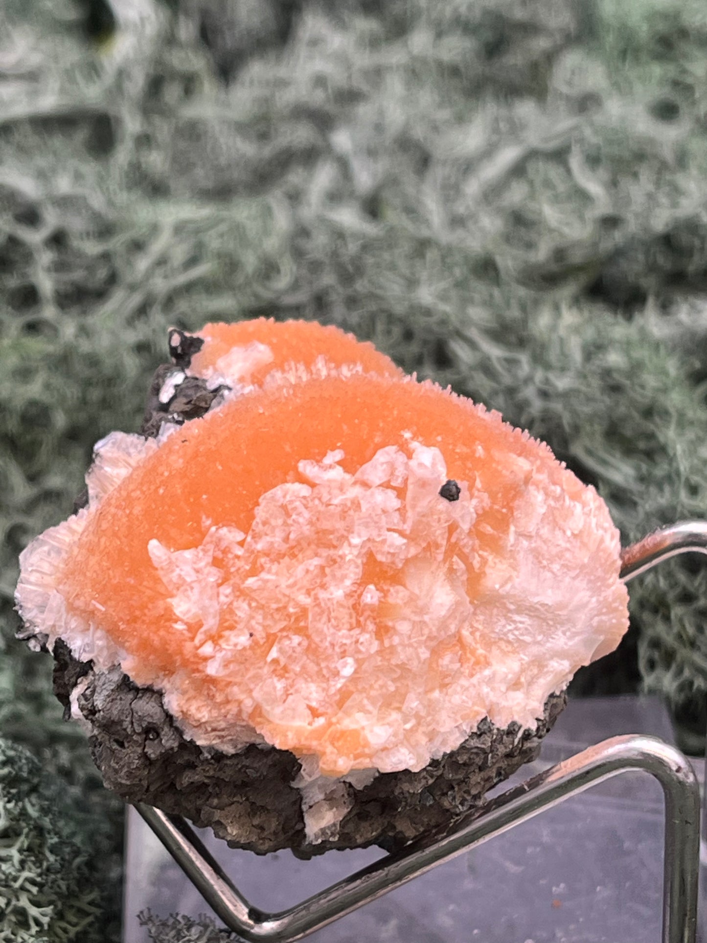 Thomsonit aus Indien (55g) - Stufe - leuchtend orange Farbe, schöne Kugelbildung auf Muttergestein - crystal paradise