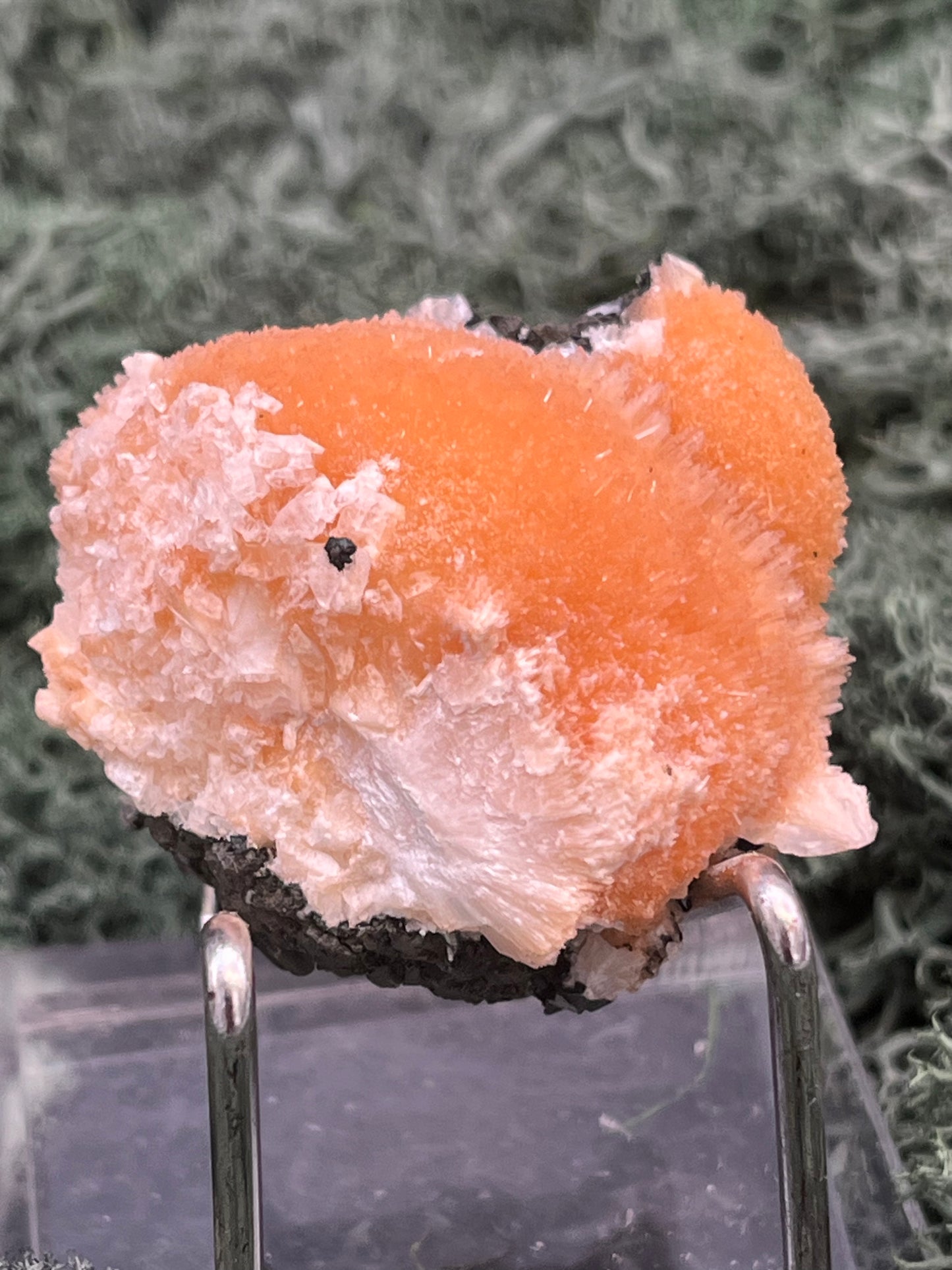 Thomsonit aus Indien (55g) - Stufe - leuchtend orange Farbe, schöne Kugelbildung auf Muttergestein - crystal paradise