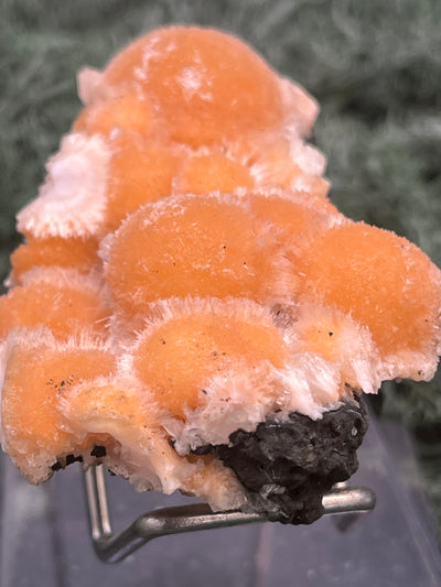 Thomsonit aus Indien (46g) - Stufe - leuchtend orange Farbe, viele schöne Kugelbildungen auf Muttergestein - crystal paradise