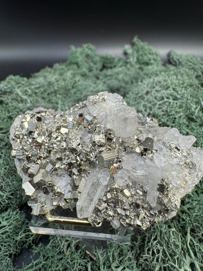 Pyrit an Bergkristall aus Indonesien (155g) - Viele schöne Pyrit Kristalle - crystal paradise