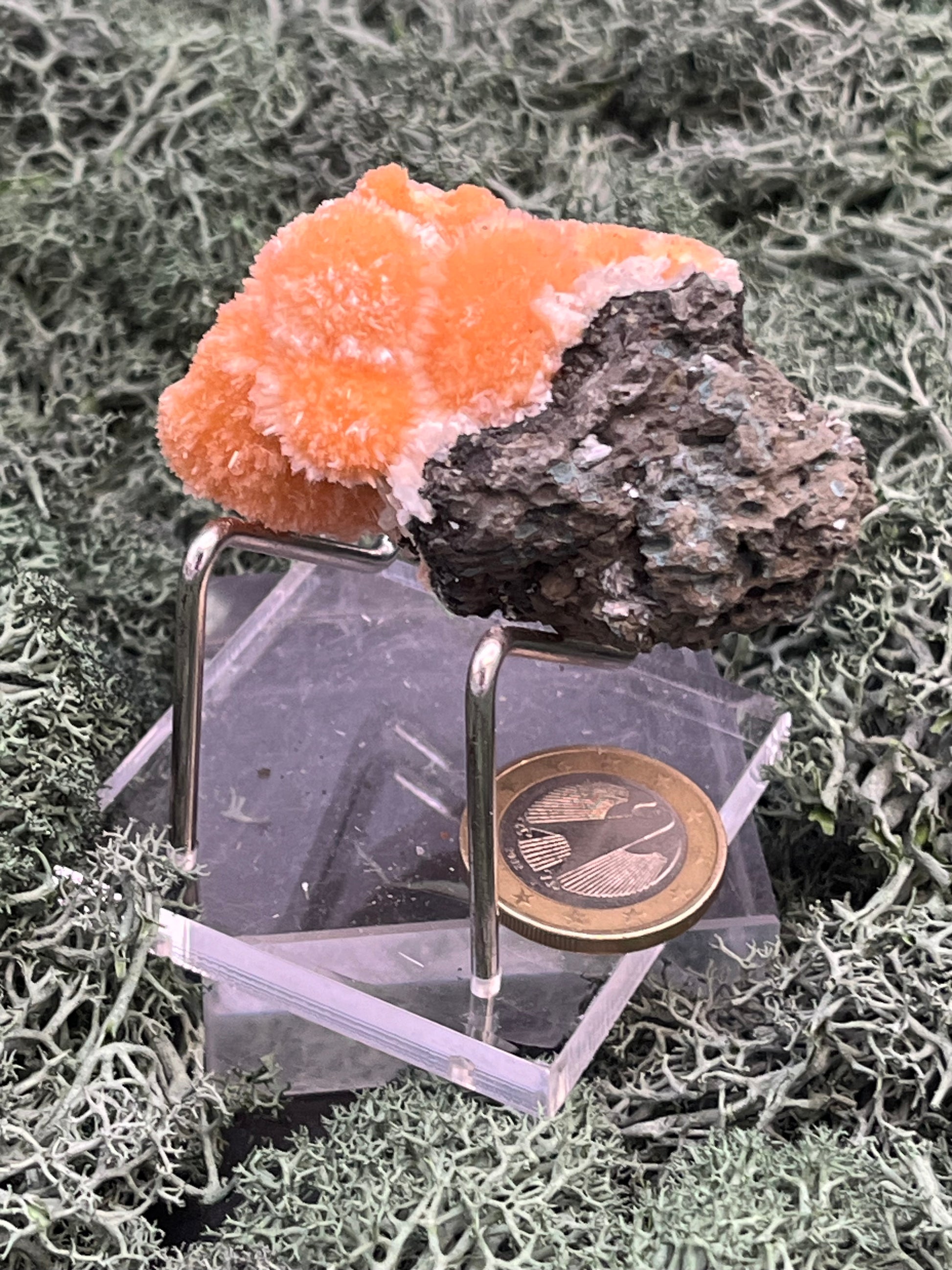 Thomsonit aus Indien (59g) - Stufe - leuchtend orange Farbe, schöne Kugelbildungen - crystal paradise