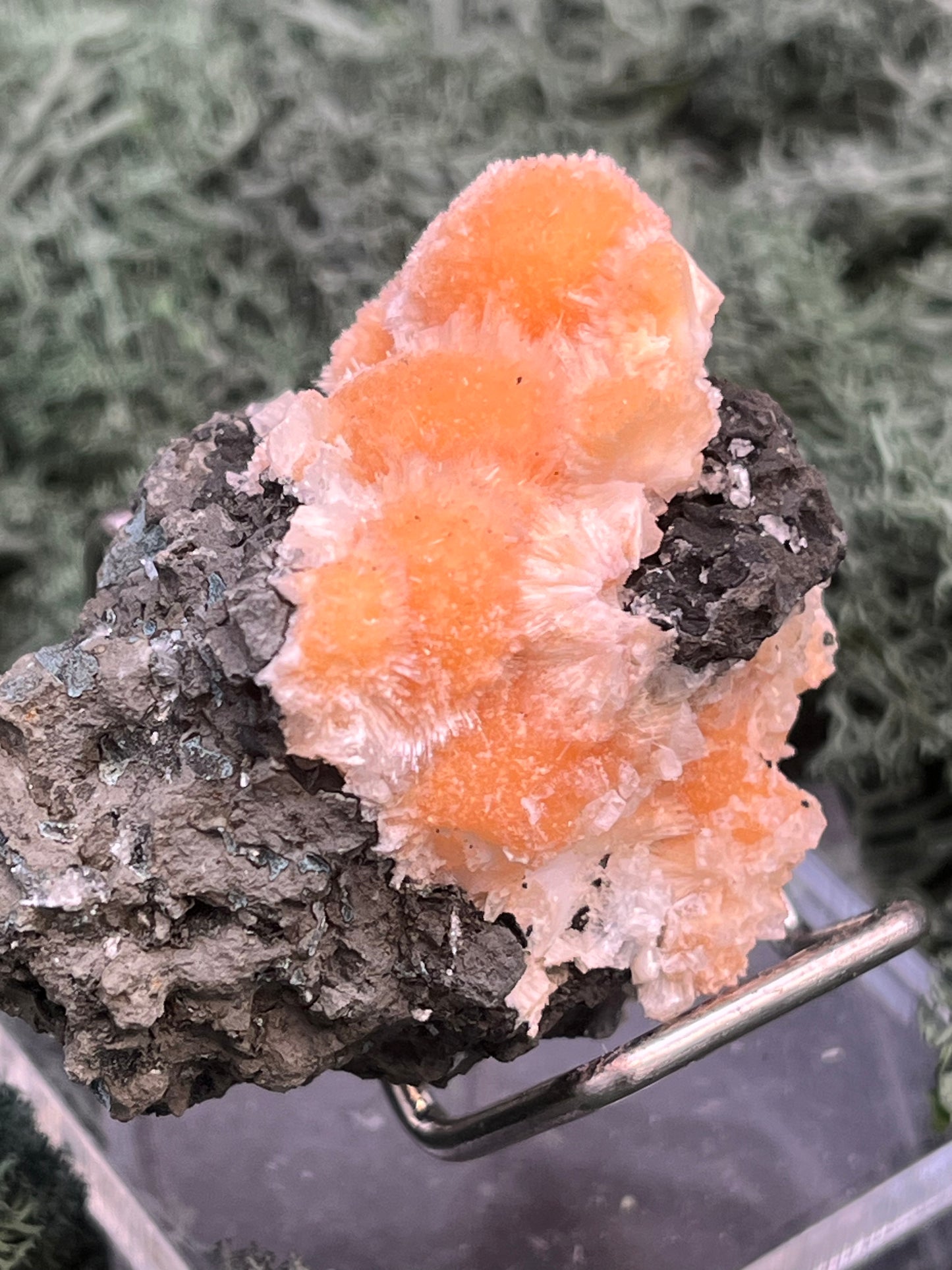 Thomsonit aus Indien (59g) - Stufe - leuchtend orange Farbe, schöne Kugelbildungen - crystal paradise