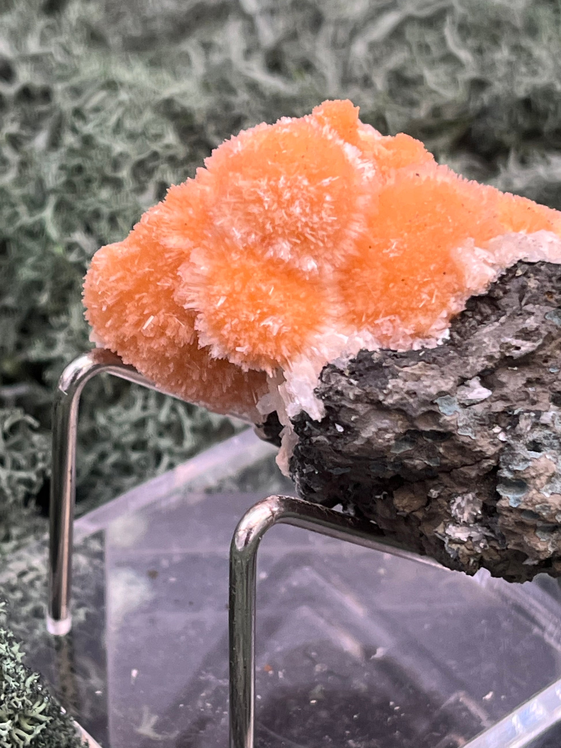 Thomsonit aus Indien (59g) - Stufe - leuchtend orange Farbe, schöne Kugelbildungen - crystal paradise