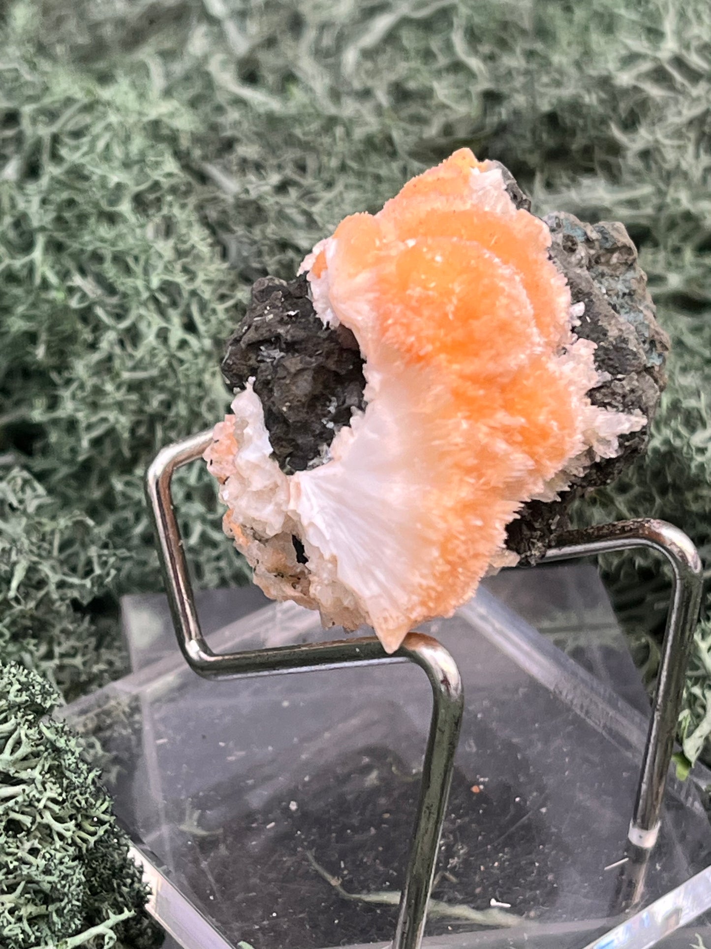 Thomsonit aus Indien (59g) - Stufe - leuchtend orange Farbe, schöne Kugelbildungen - crystal paradise