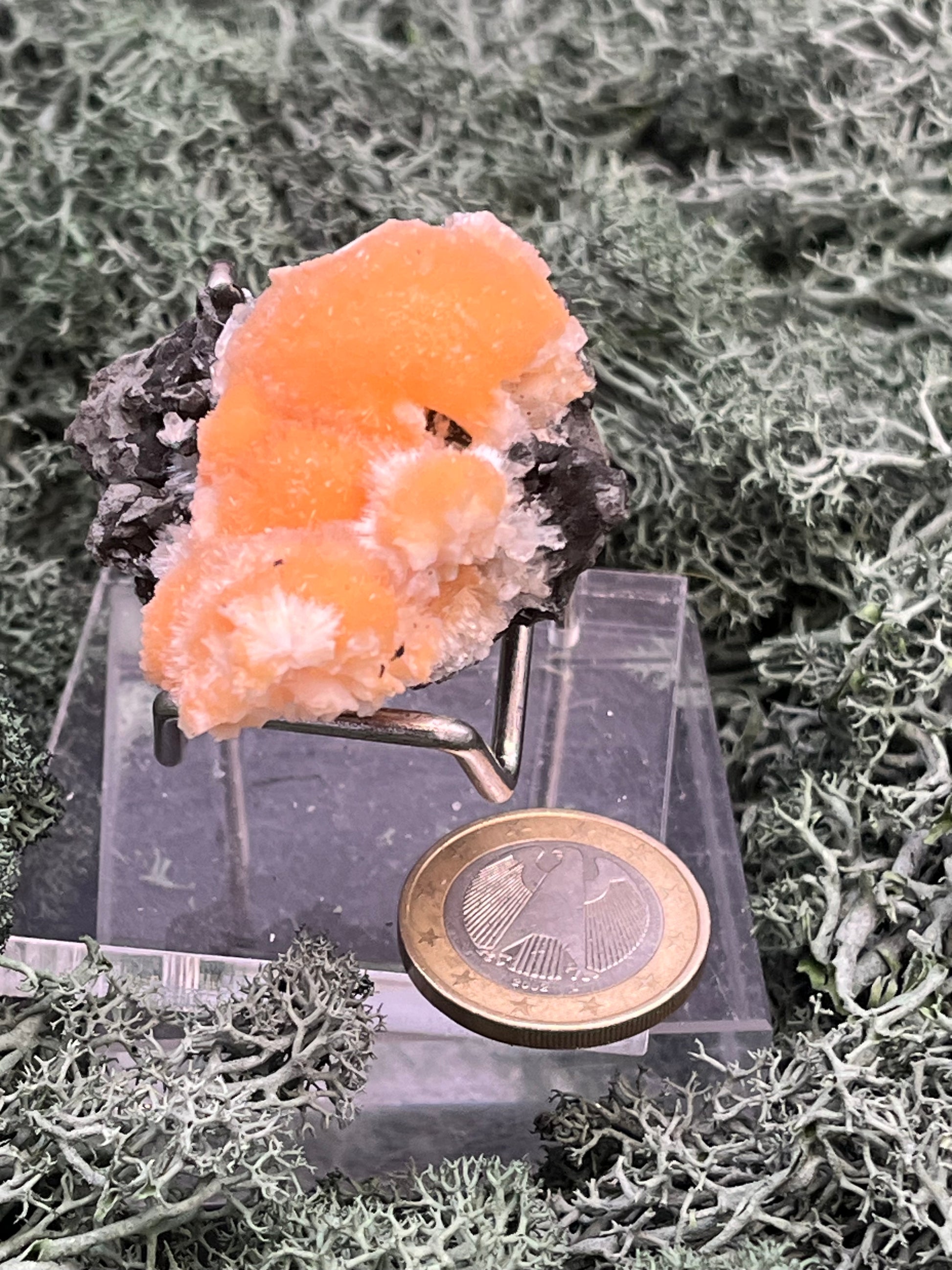 Thomsonit aus Indien (35g) - Stufe - leuchtend orange Farbe, schöne Kugelbildungen - crystal paradise