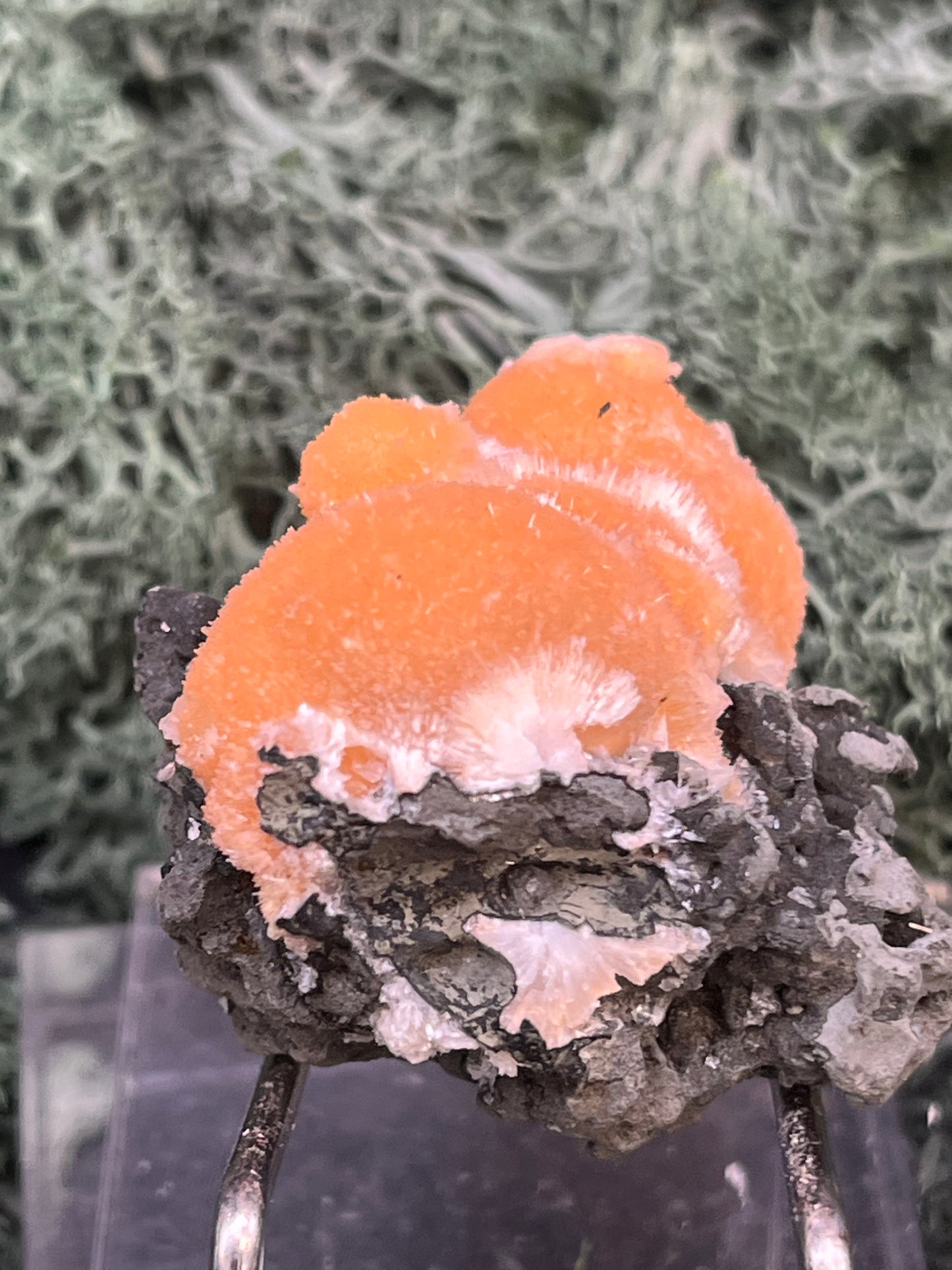 Thomsonit aus Indien (35g) - Stufe - leuchtend orange Farbe, schöne Kugelbildungen - crystal paradise