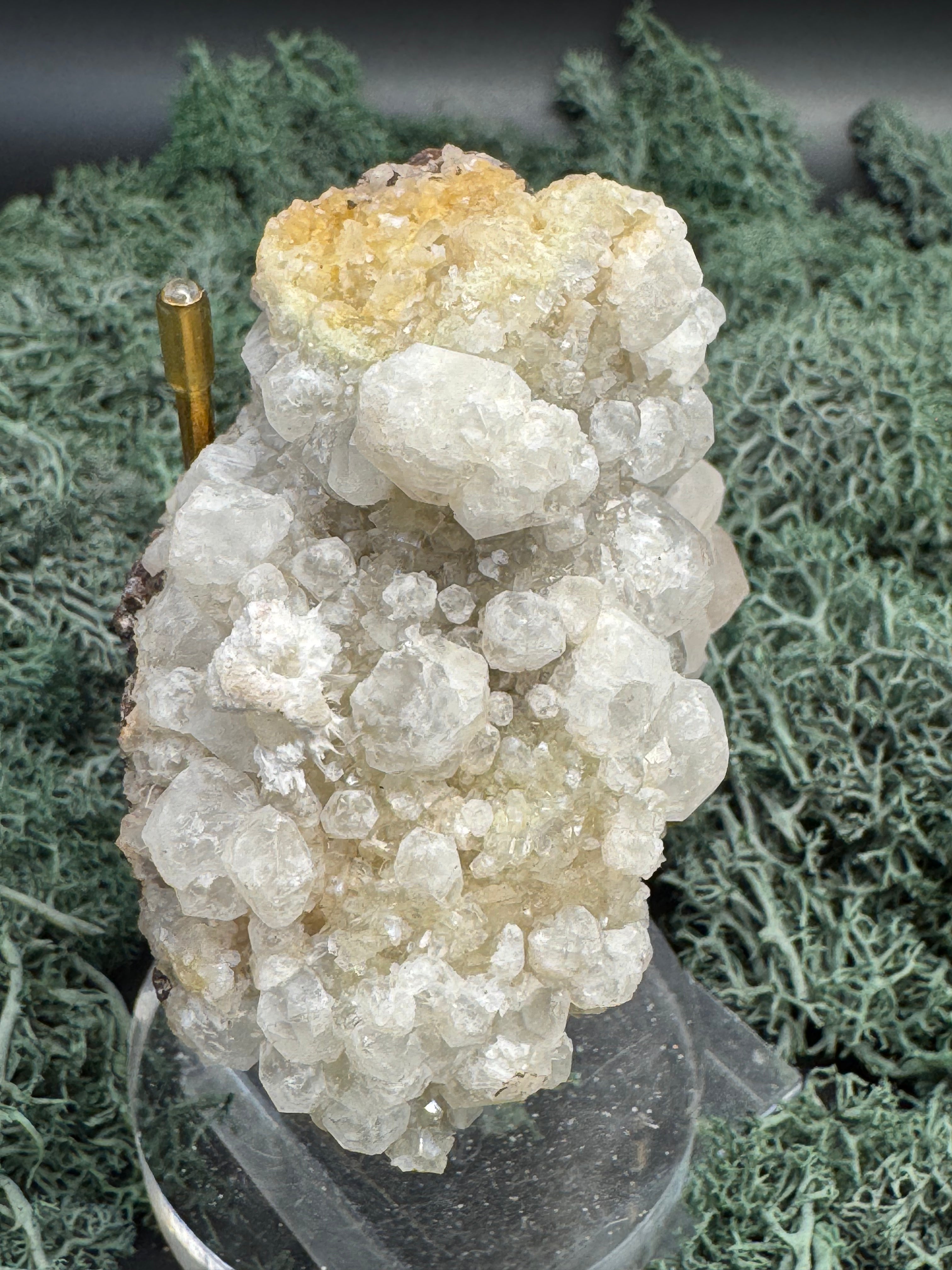 Okenit auf Apophyllit Cluster (Stufe) aus Indien (156g) - viele Apophyllit Kristalle, - crystal paradise