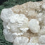 Okenit auf Apophyllit Cluster (Stufe) aus Indien (188g) - viele Okenit Kristalle, flach - crystal paradise