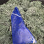 Lapis Lazuli Freeform poliert aus Afghansitan (313g) - intensives blau schön gemustert - crystal paradise