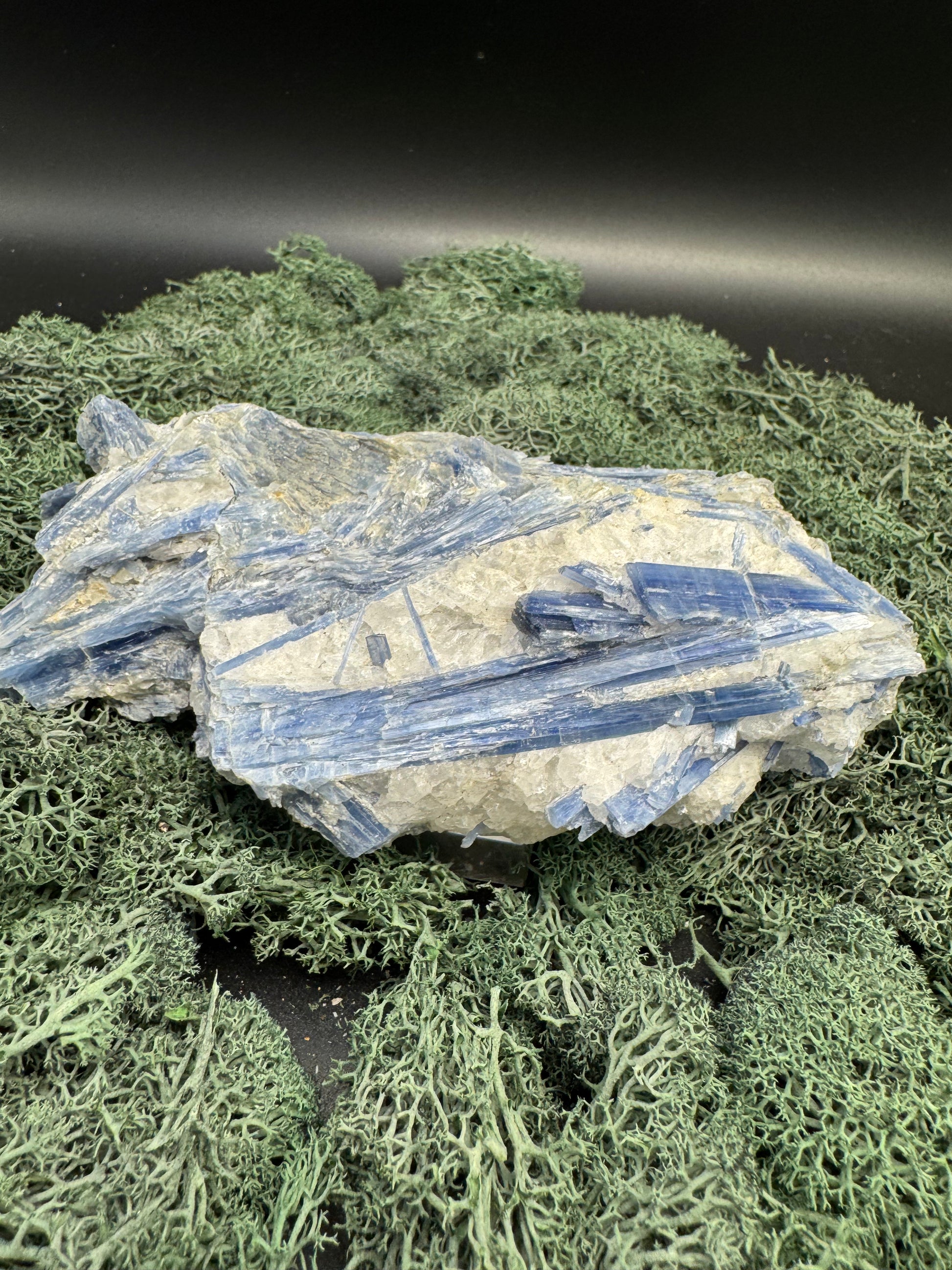 Blauer Kyanit Grossstufe aus Brasilien (994g) - schöne Kristallstäbe - crystal paradise