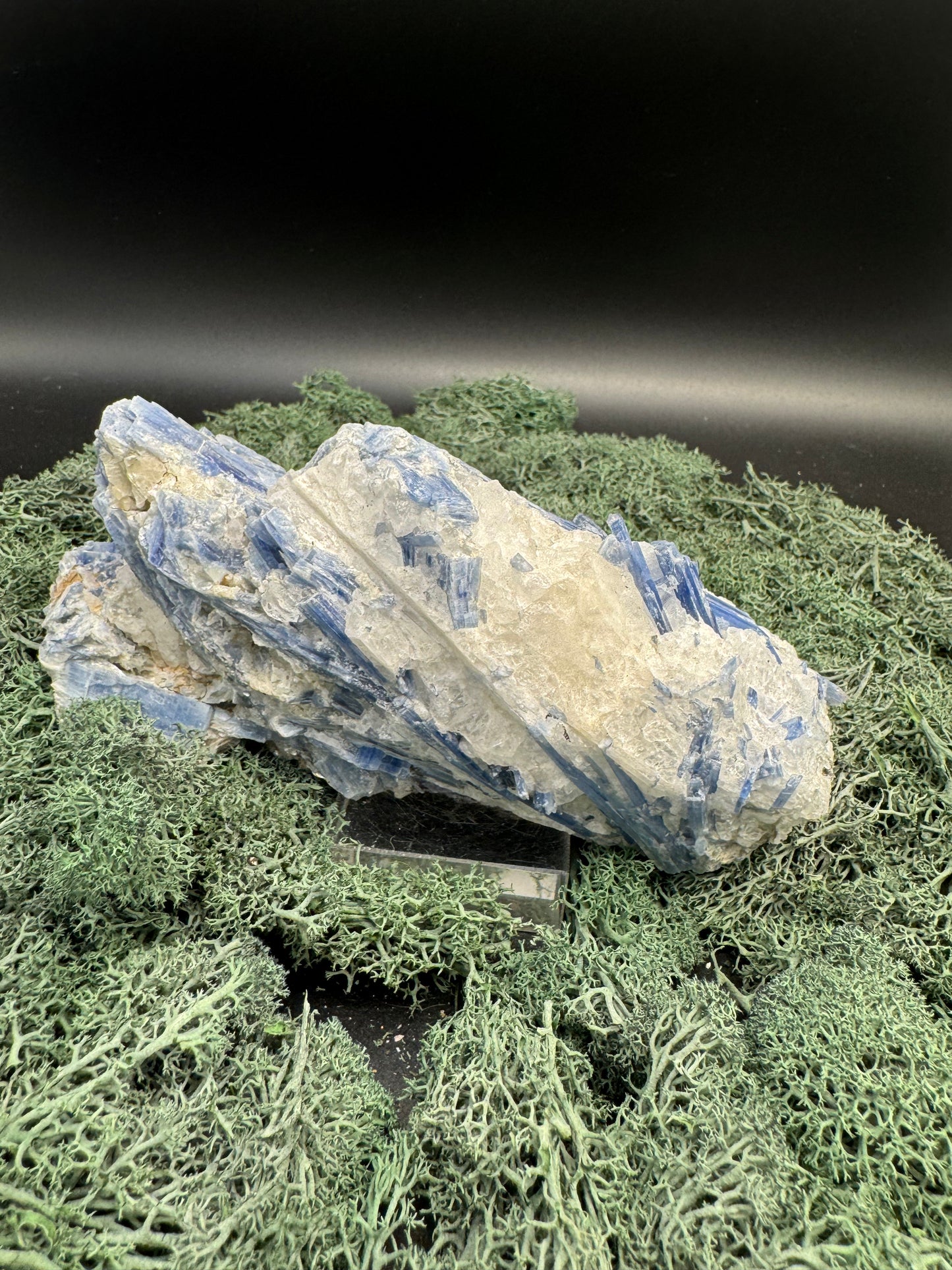 Blauer Kyanit Grossstufe aus Brasilien (994g) - schöne Kristallstäbe - crystal paradise