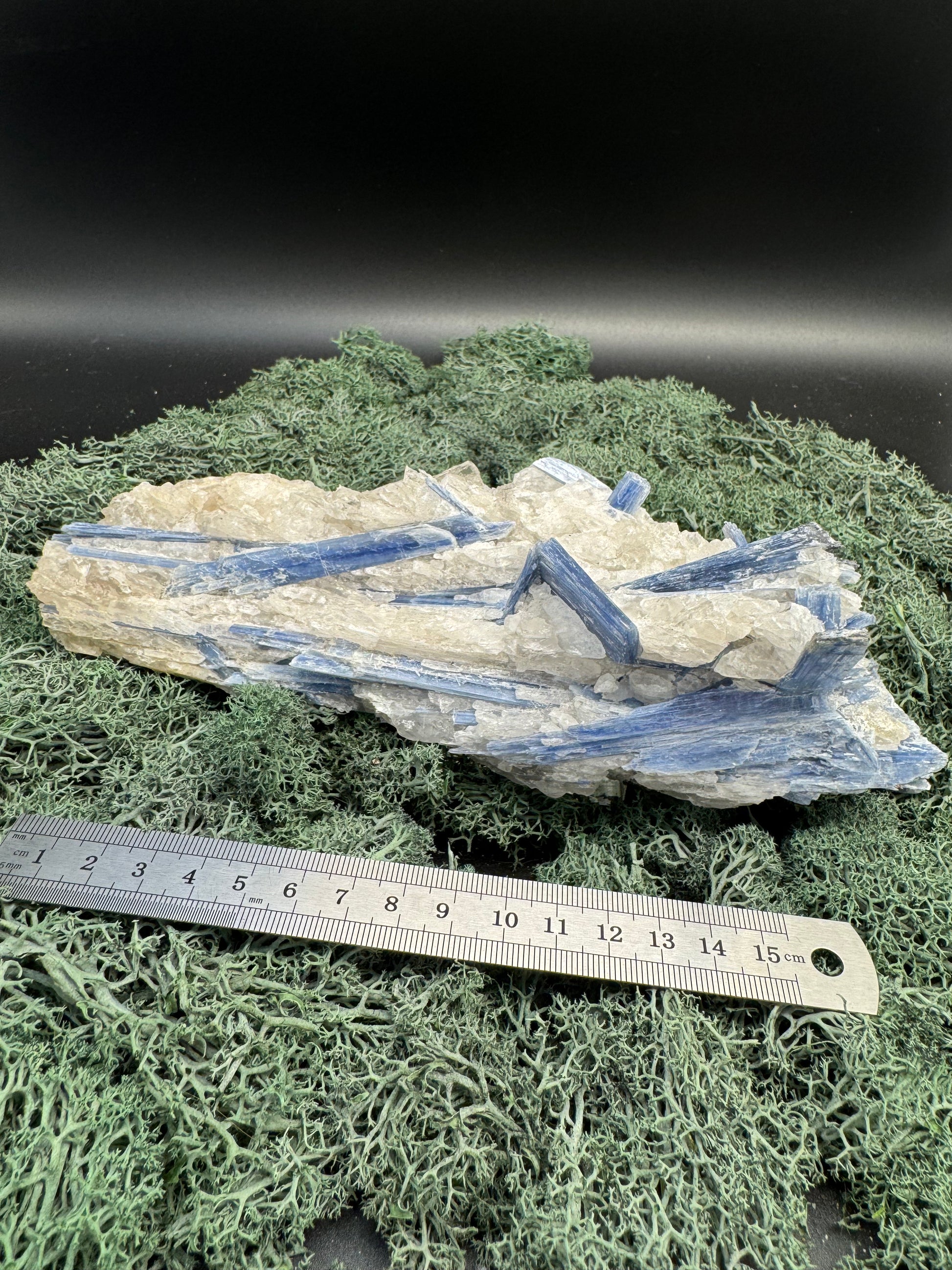 Blauer Kyanit Grossstufe aus Brasilien (1242g) - super schöne Kristallstäbe - crystal paradise