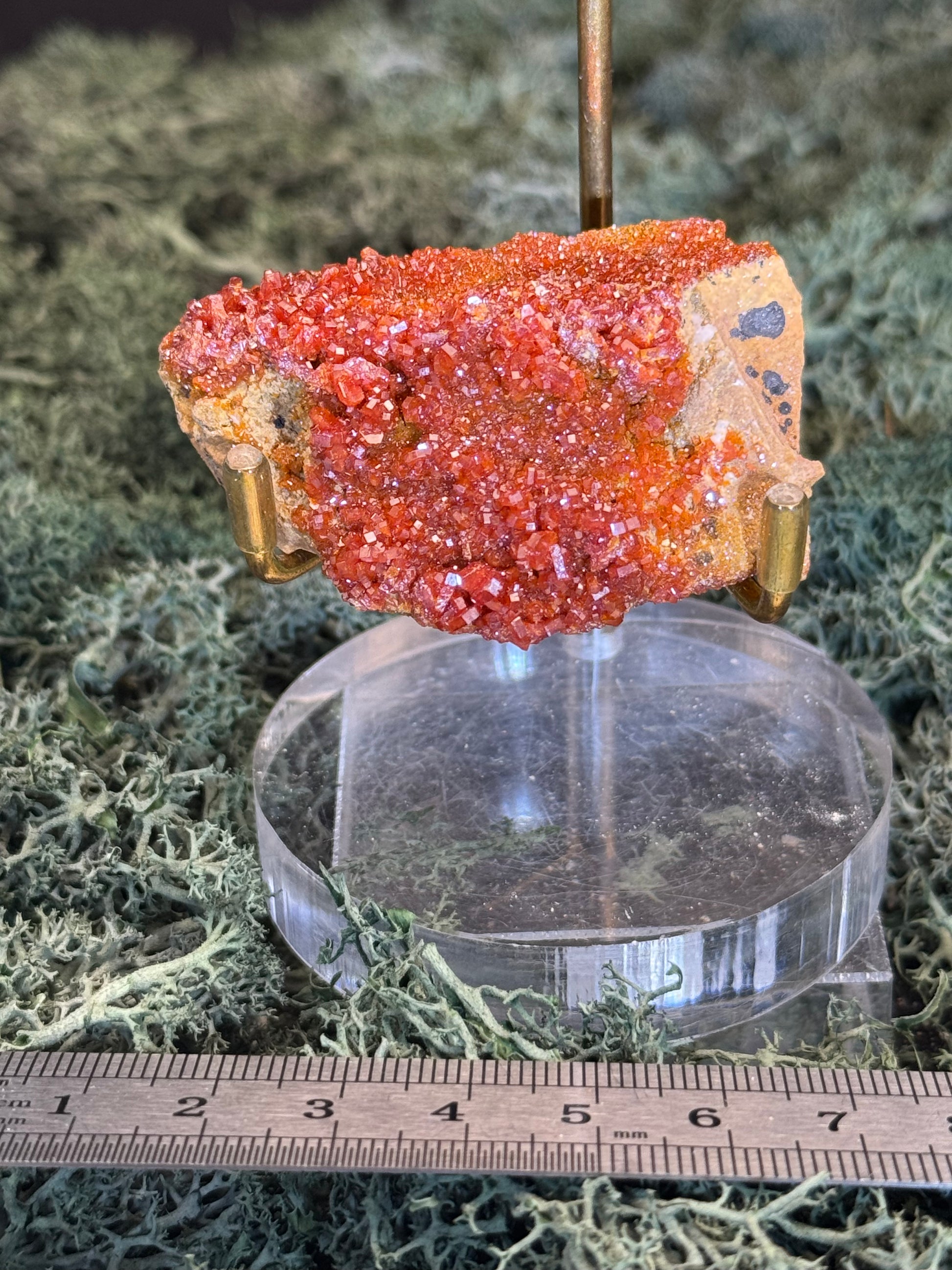 Vanadinit aus Mibladen, Marokko (53g) - Stufe - sehr schöne rote Kristalle - crystal paradise