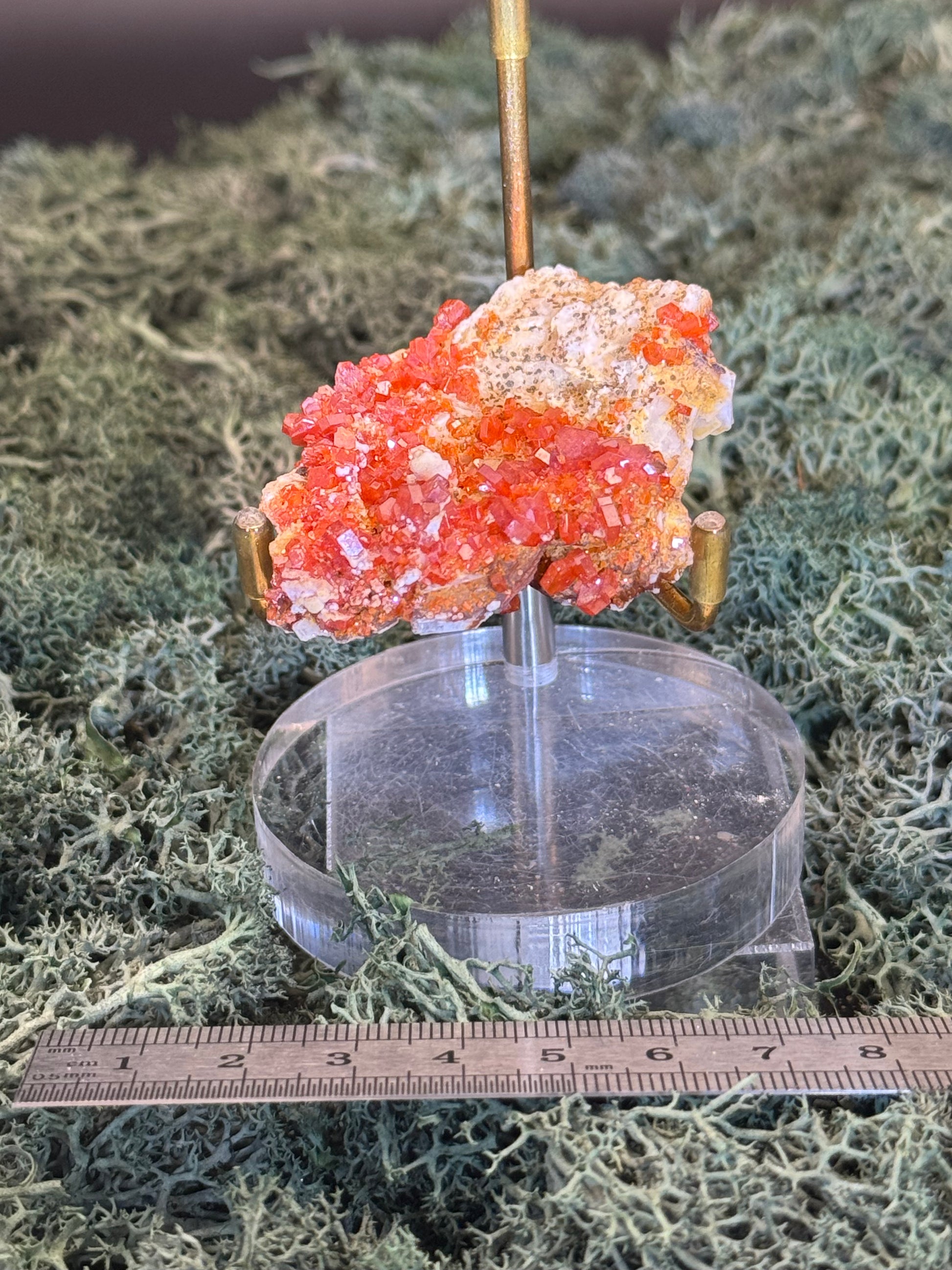 Vanadinit aus Mibladen, Marokko (65g) - Stufe - sehr schönes Kristallsystem - crystal paradise