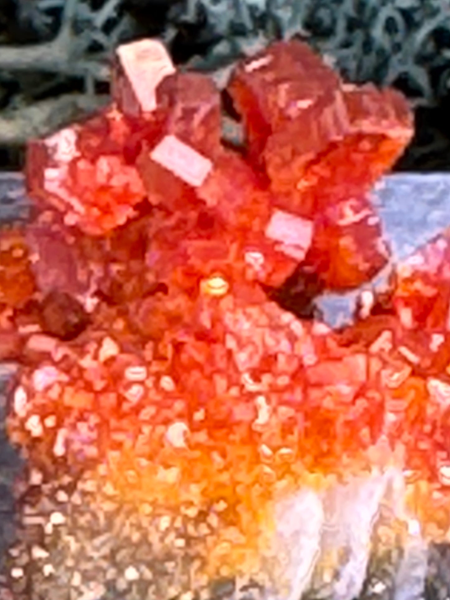 Vanadinit aus Mibladen, Marokko (11g) - Stufe - sehr schöne rote große Kristalle - crystal paradise