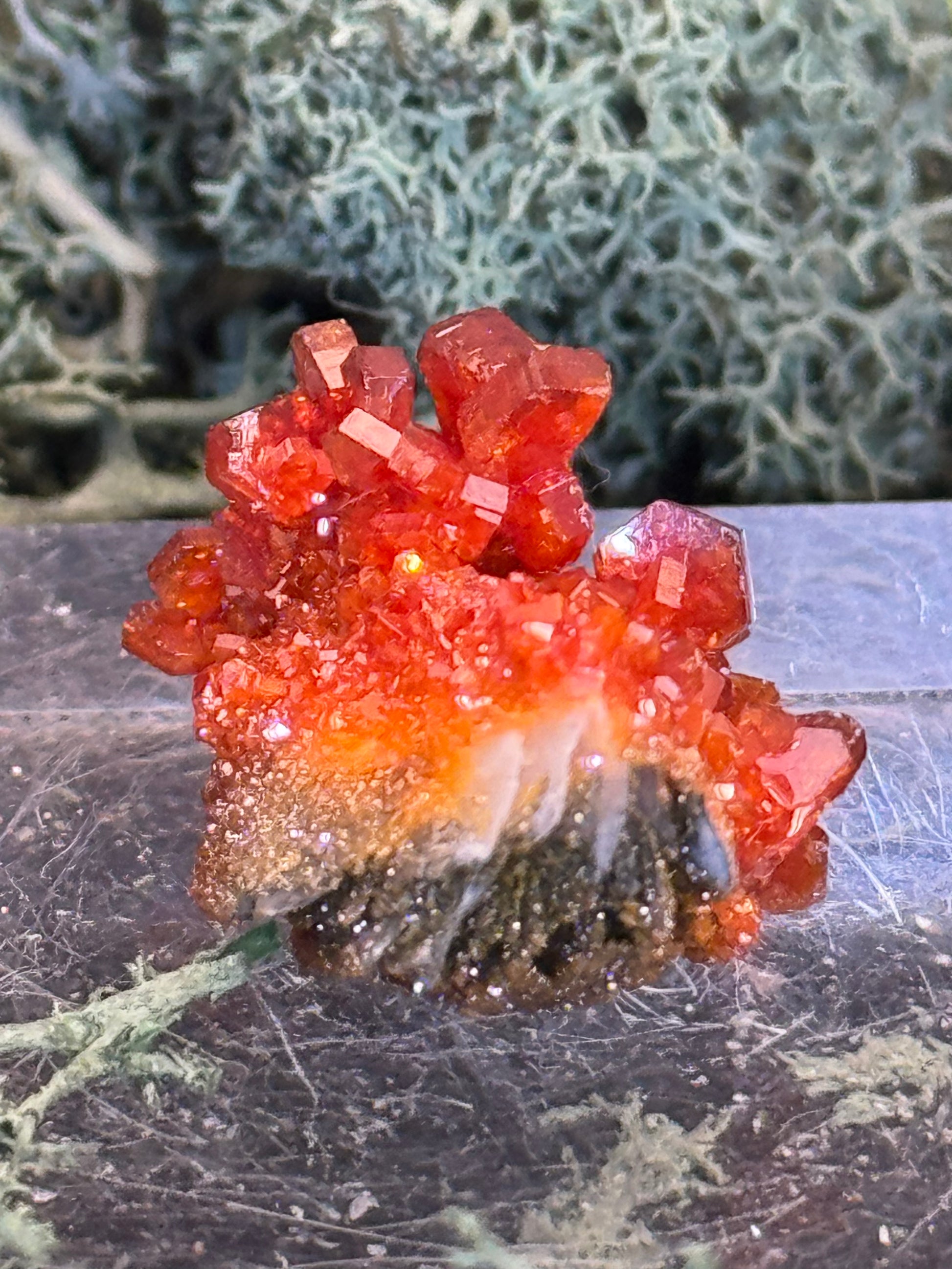 Vanadinit aus Mibladen, Marokko (11g) - Stufe - sehr schöne rote große Kristalle - crystal paradise