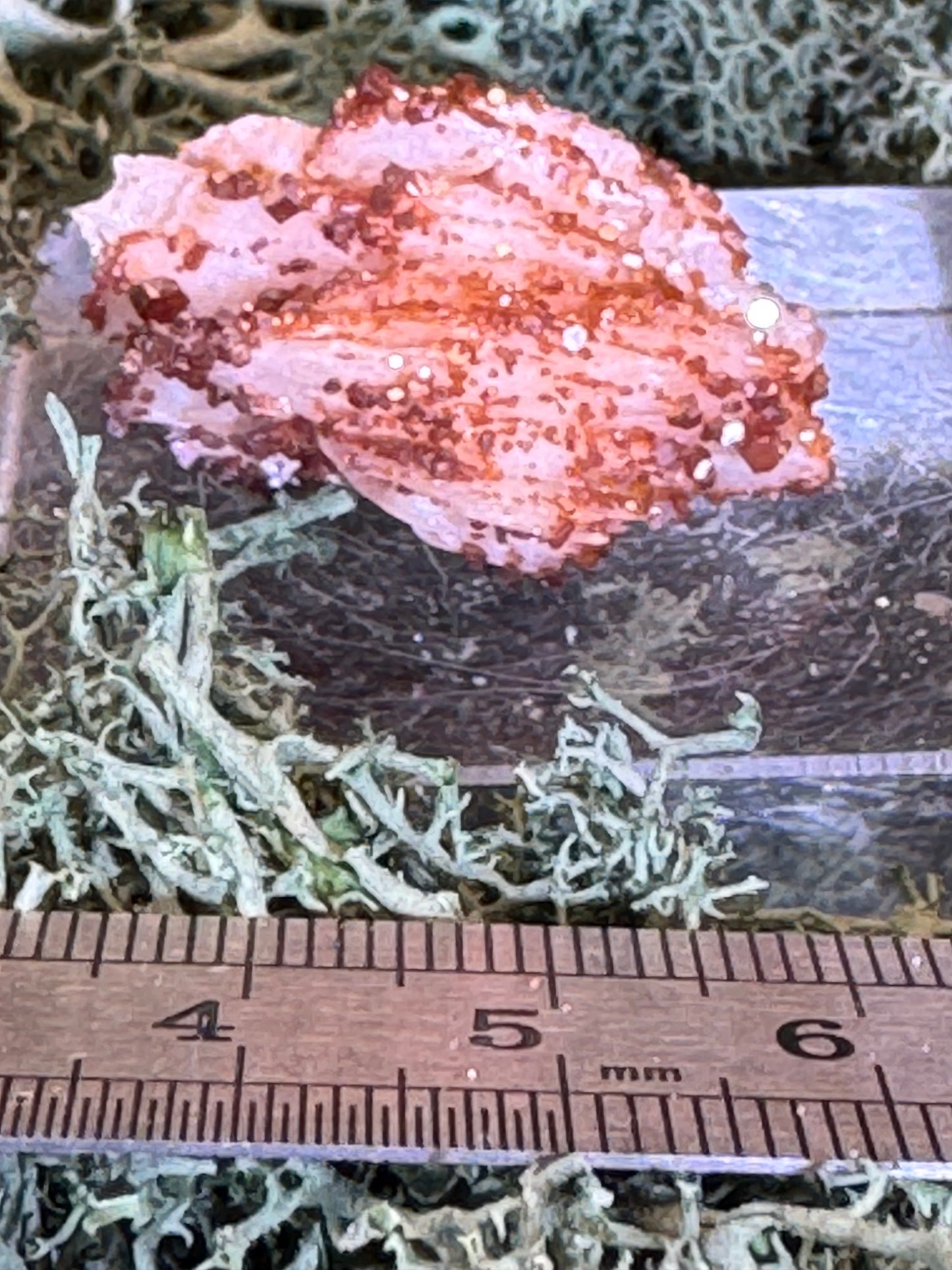 weisser Baryt mit Vanadinit aus Mibladen, Marokko (17g) - Stufe - sehr schönes leuchtendes rot - crystal paradise