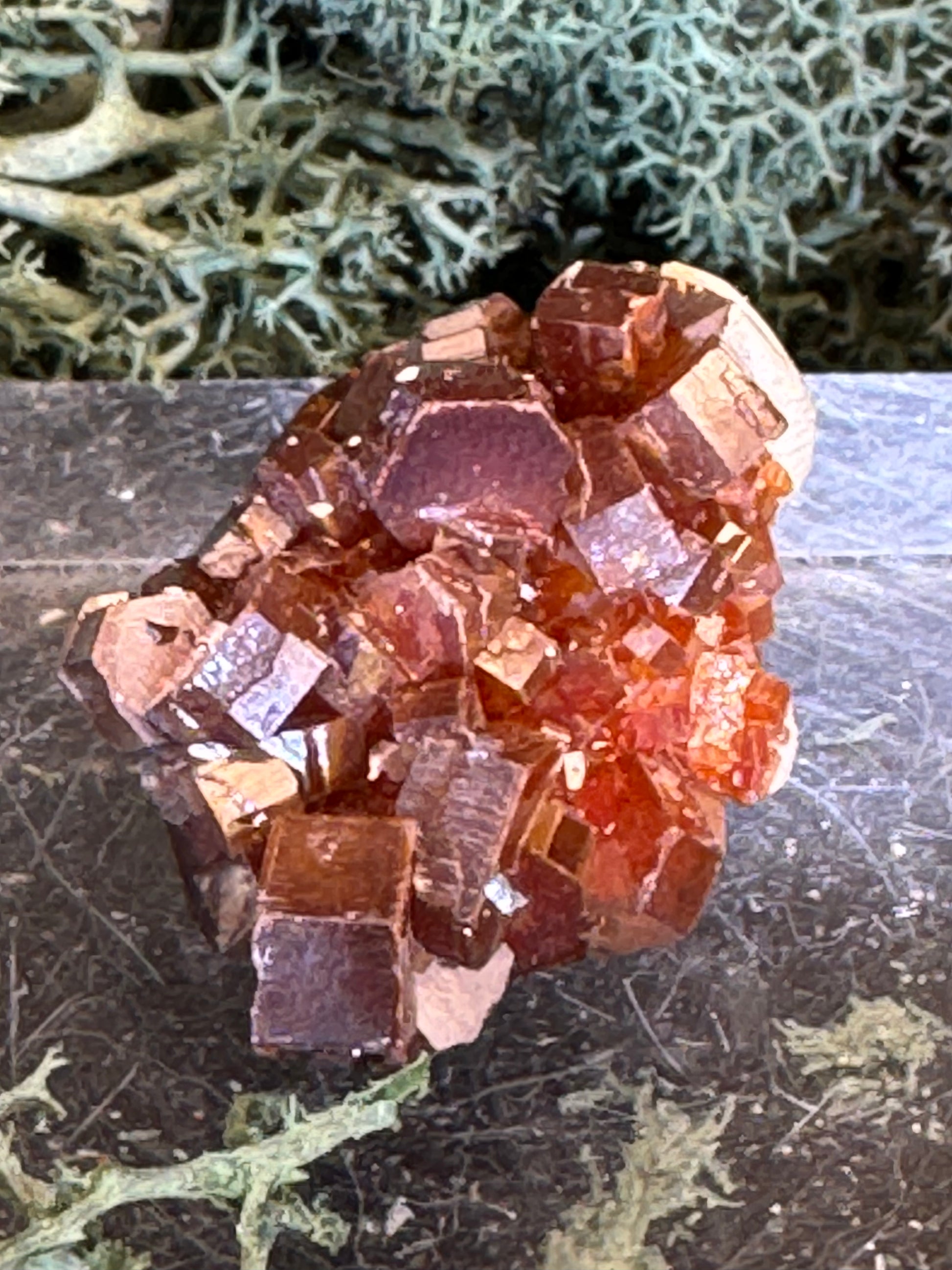 Vanadinit aus Mibladen, Marokko (17g) - Stufe - sehr schöne rote große Kristalle - crystal paradise