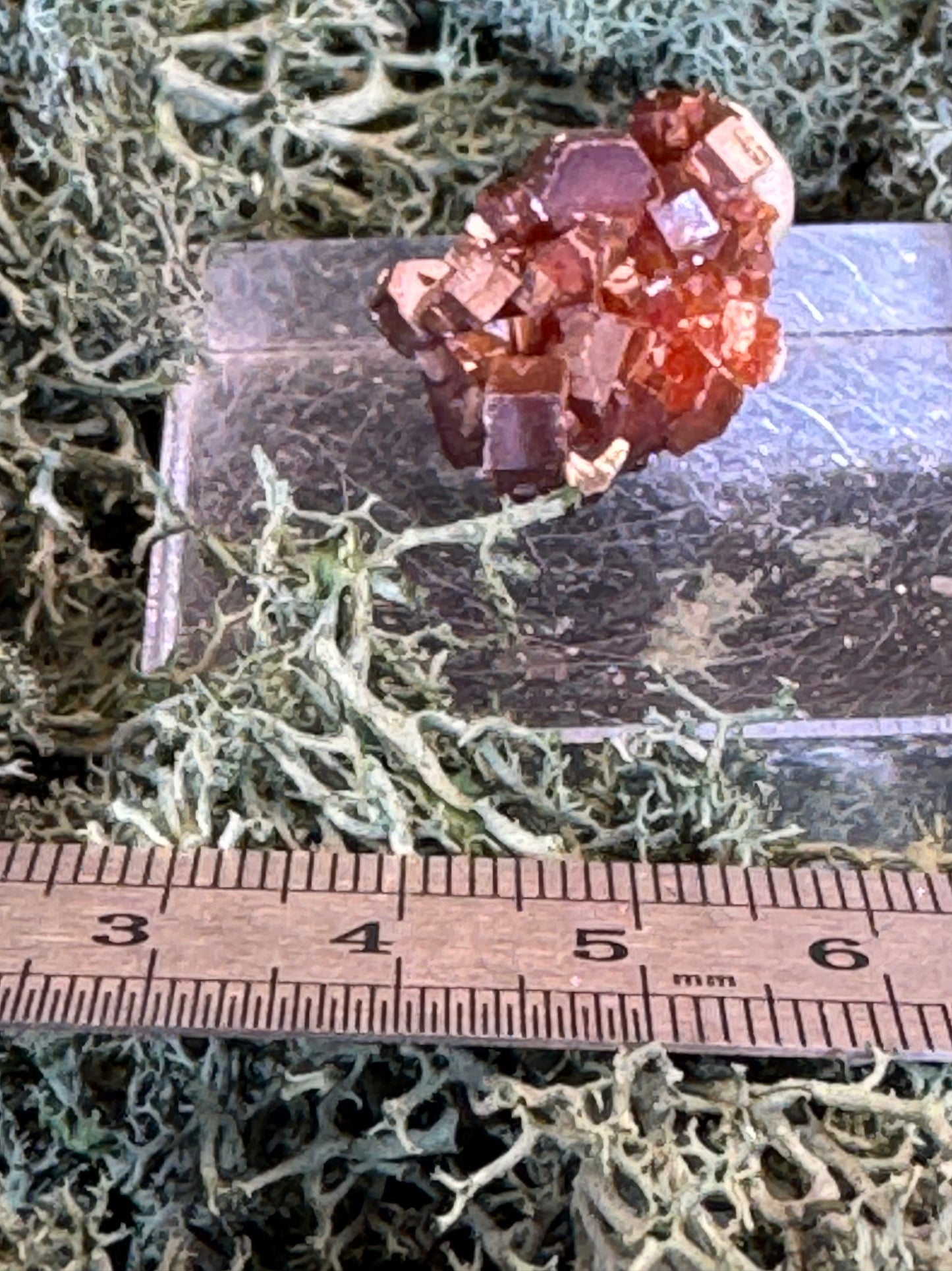 Vanadinit aus Mibladen, Marokko (17g) - Stufe - sehr schöne rote große Kristalle - crystal paradise