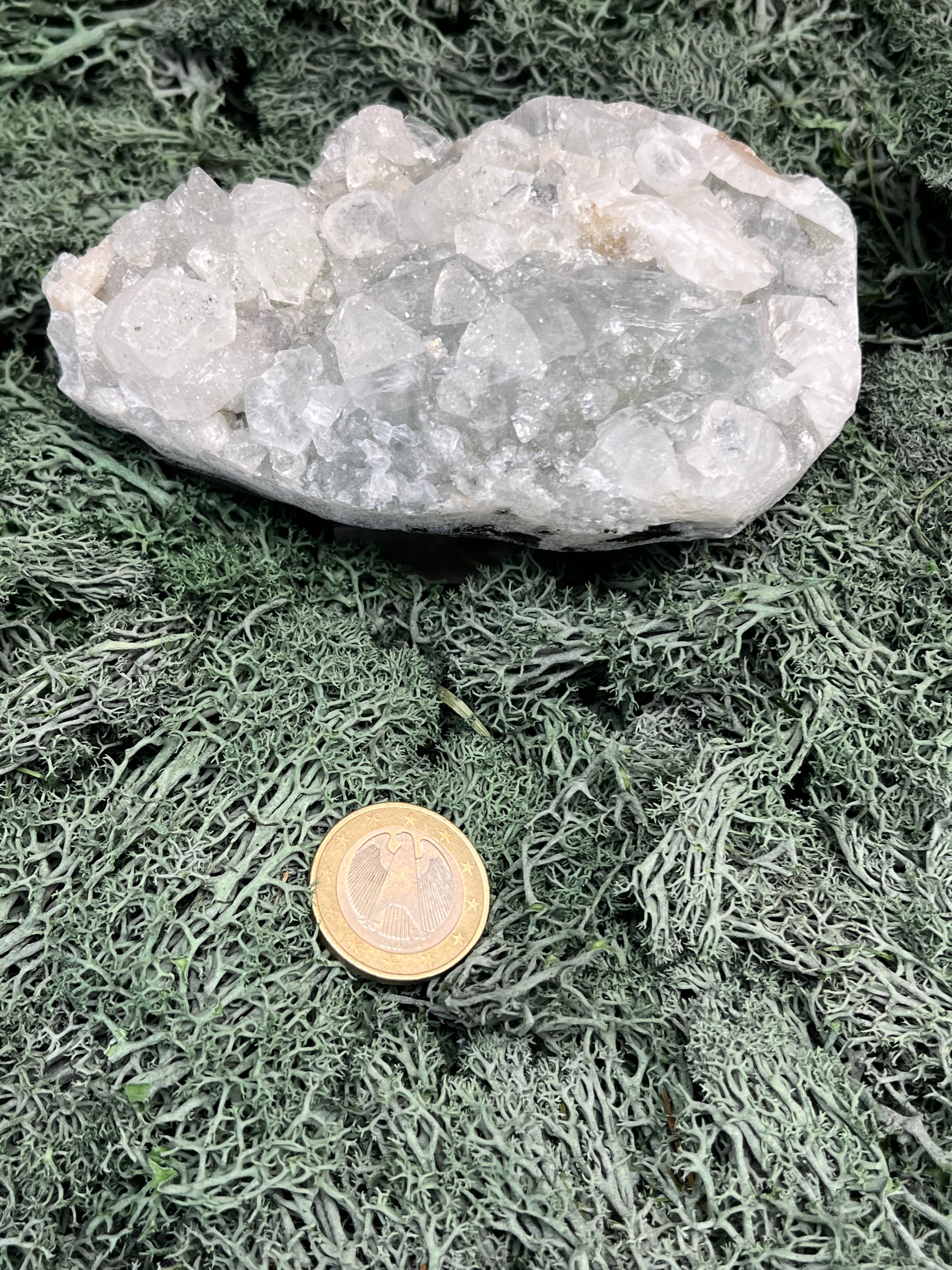 Apophyllit Handstufe aus Indien (367g) - schöne grosse Kristalle - crystal paradise