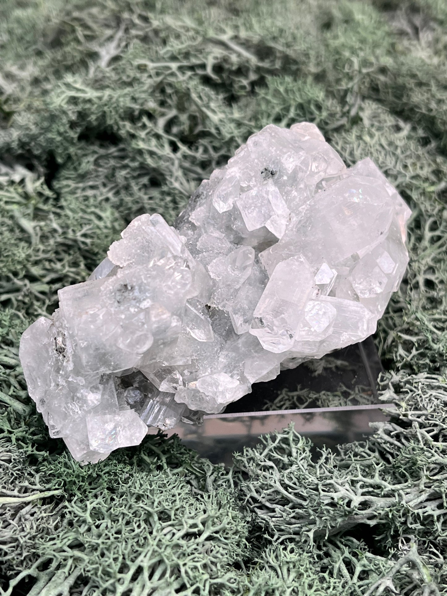 Apophyllit Handstufe aus Indien (168g) - schöne grosse Kristalle - crystal paradise