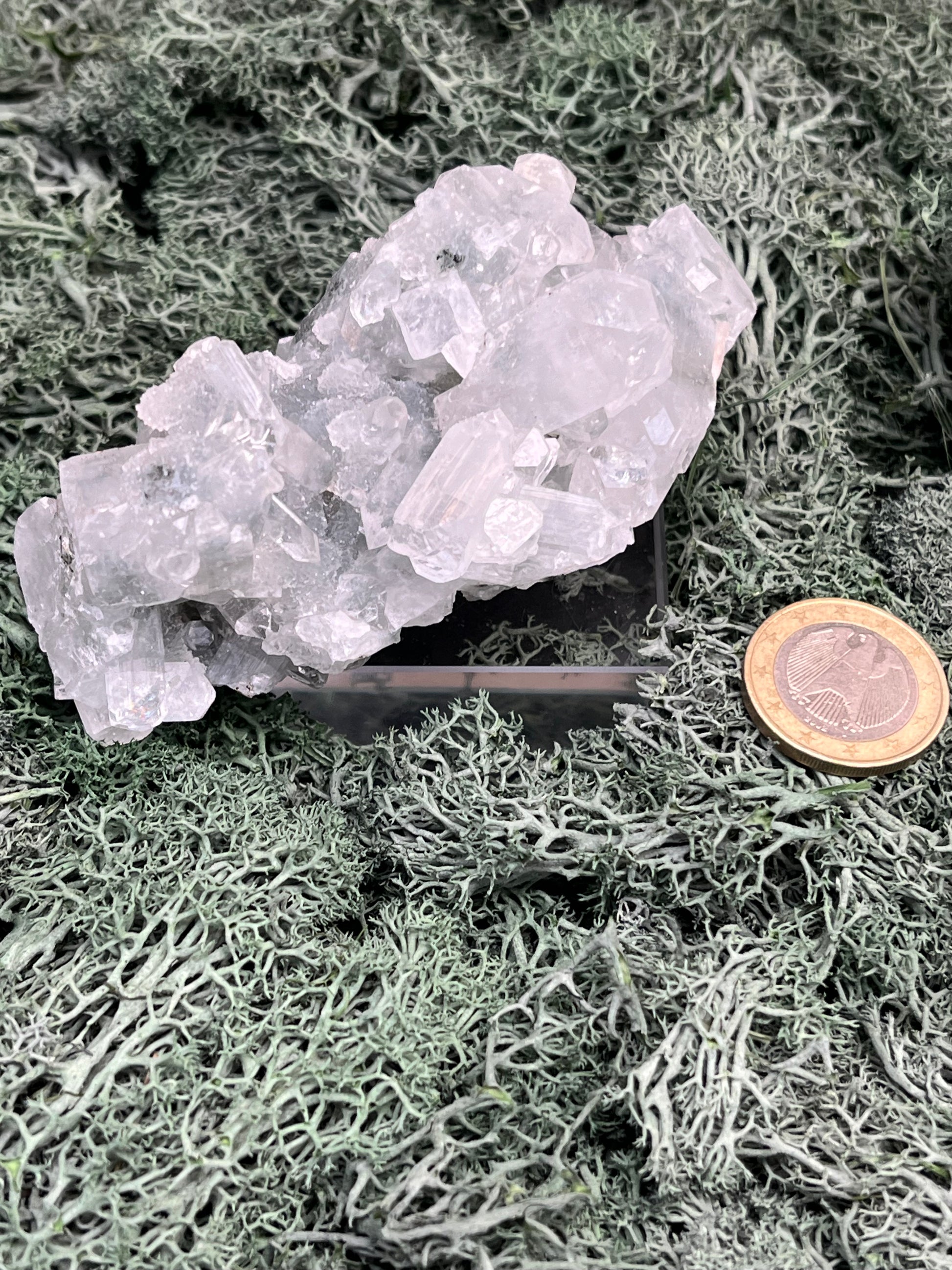 Apophyllit Handstufe aus Indien (168g) - schöne grosse Kristalle - crystal paradise