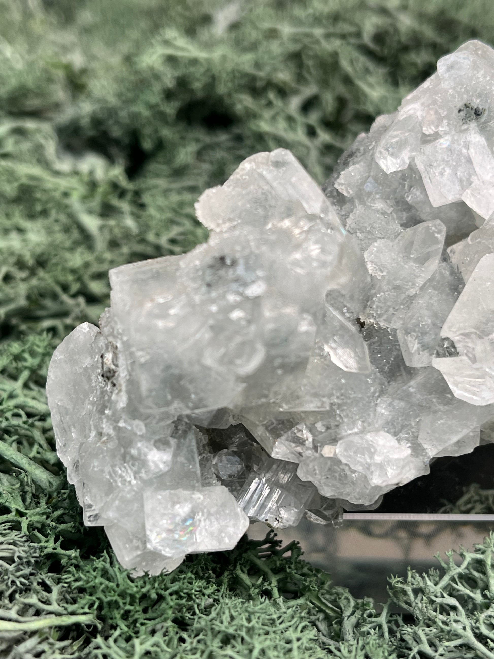 Apophyllit Handstufe aus Indien (168g) - schöne grosse Kristalle - crystal paradise