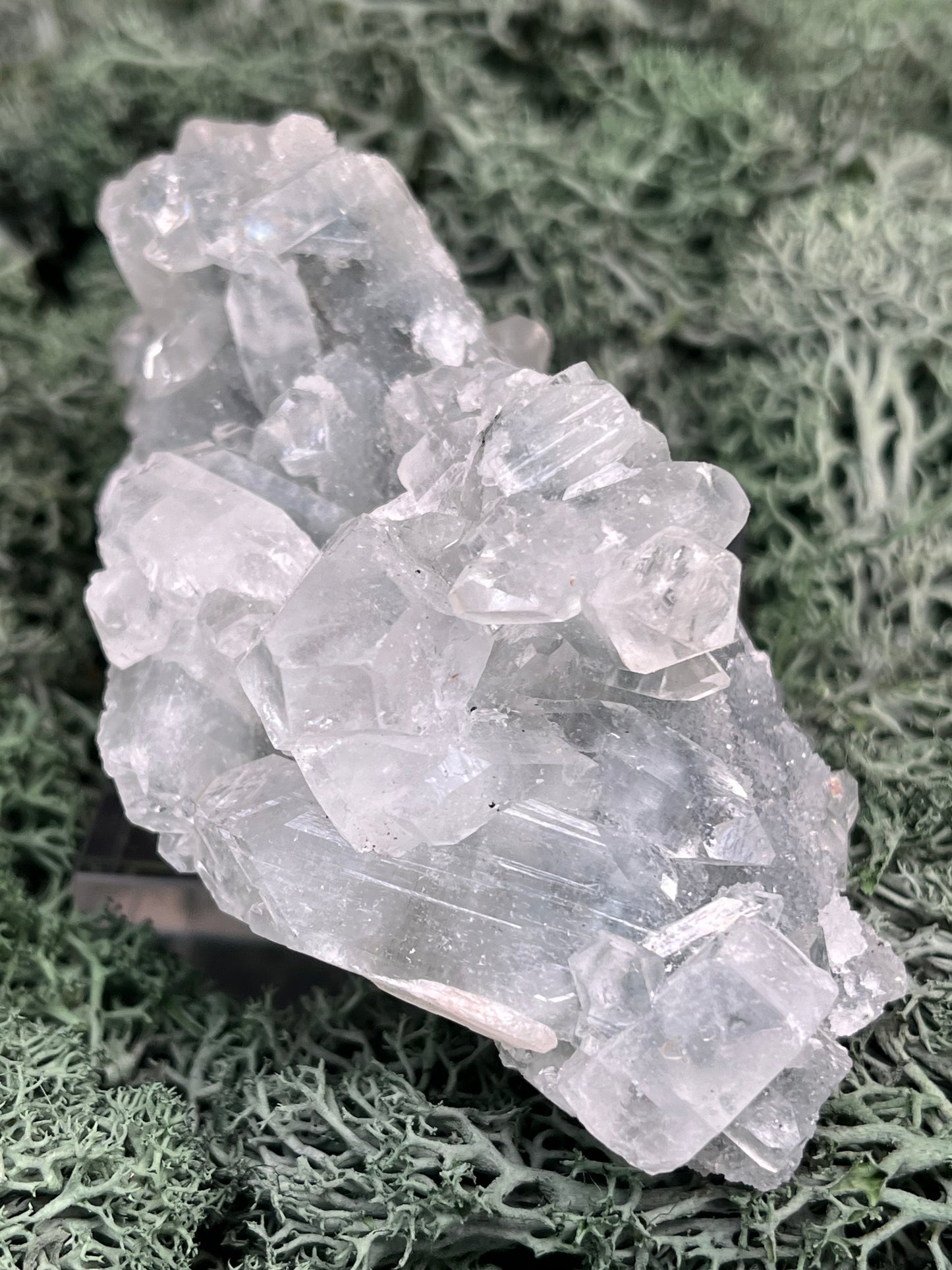 Apophyllit Handstufe aus Indien (168g) - schöne grosse Kristalle - crystal paradise