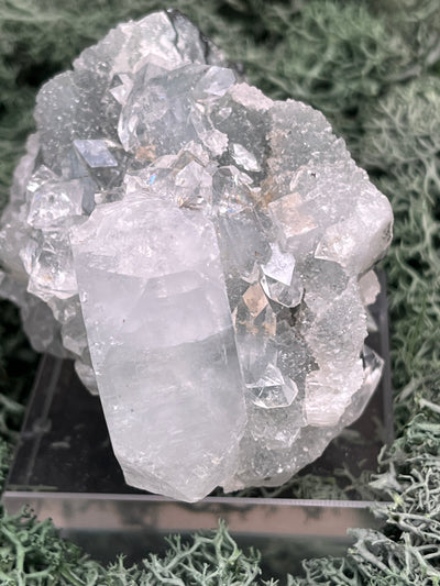 Apophyllit Handstufe aus Indien (152g) - schöne grosse Kristalle - crystal paradise