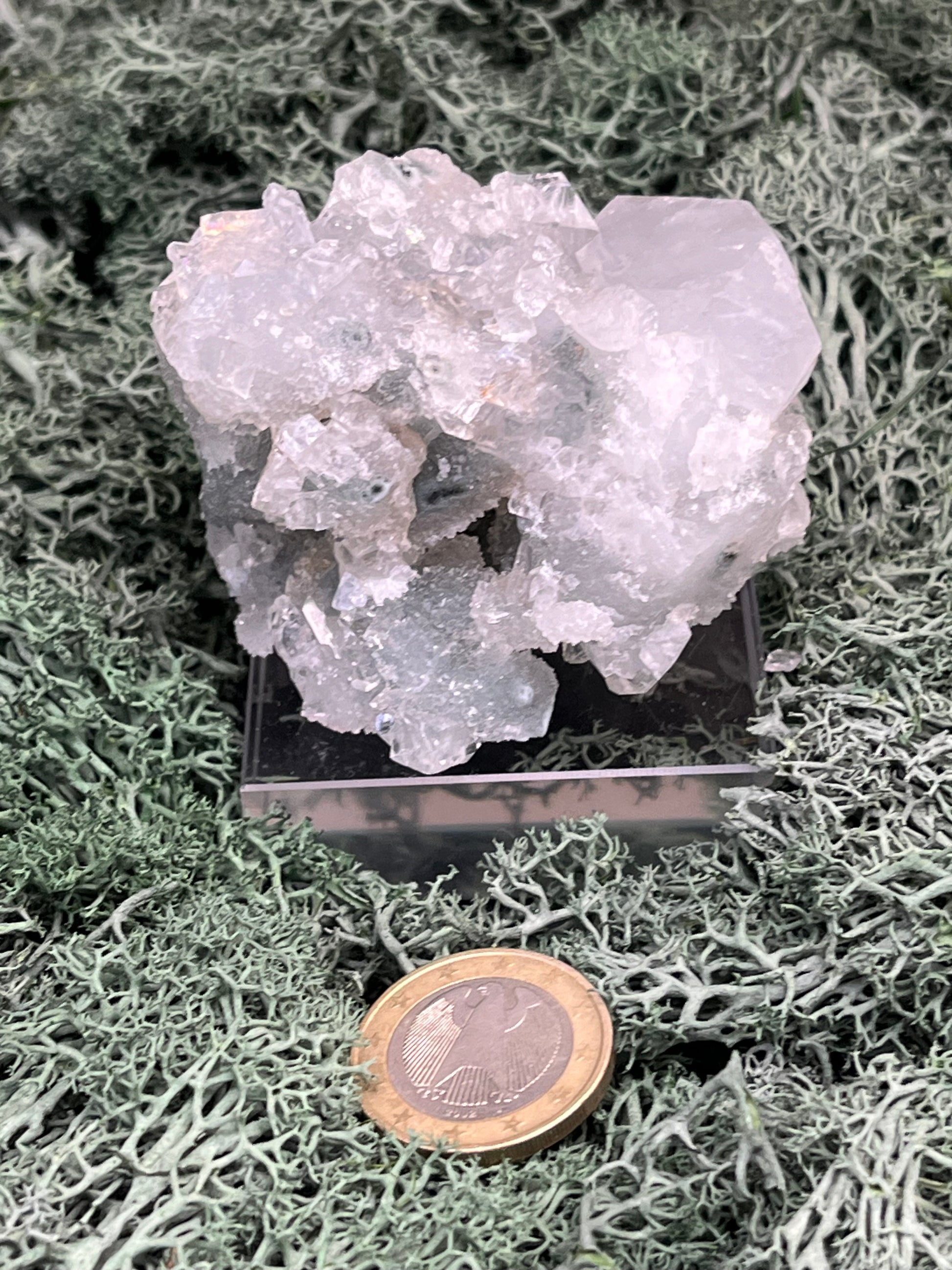 Apophyllit Handstufe aus Indien (152g) - schöne grosse Kristalle - crystal paradise