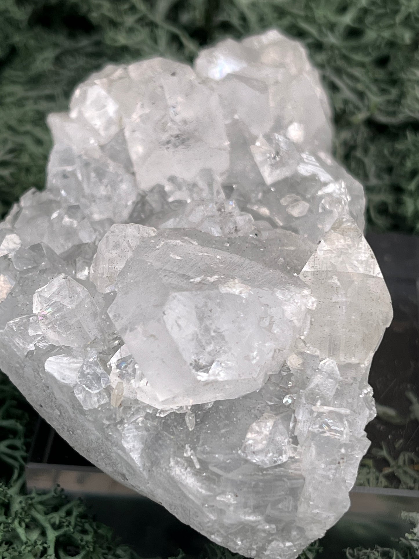 Apophyllit Handstufe aus Indien (146g) - schöne grosse Kristalle - crystal paradise