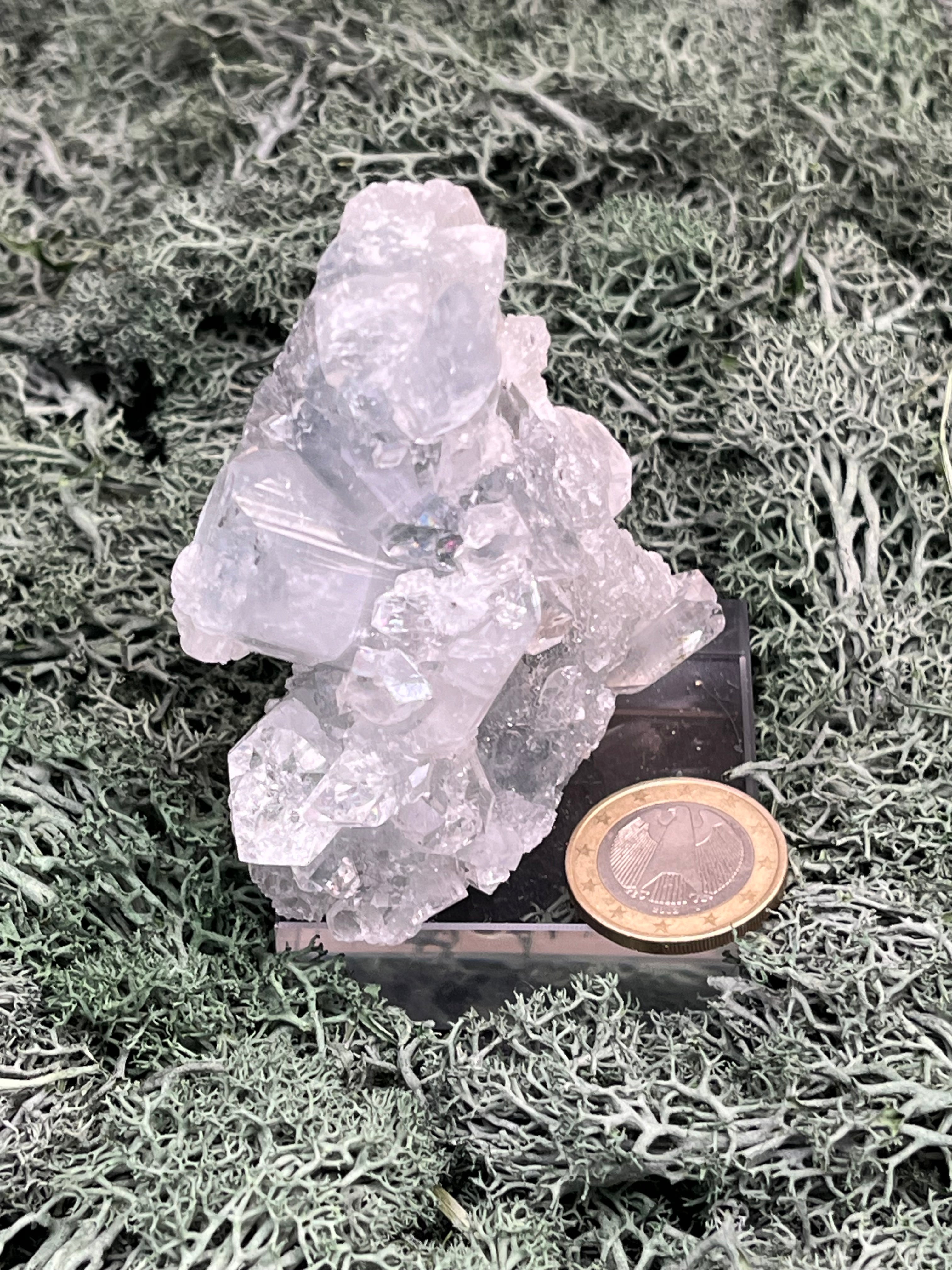 Apophyllit Handstufe aus Indien (152g) - schöne grosse Kristalle - crystal paradise